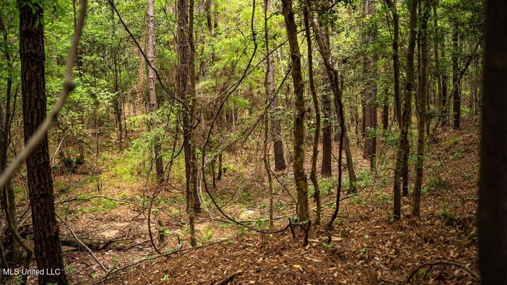 2683 33 Highway Property Photo 11