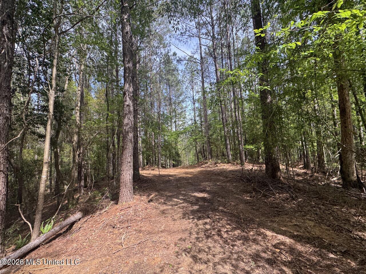 2683 33 Highway Property Photo 17