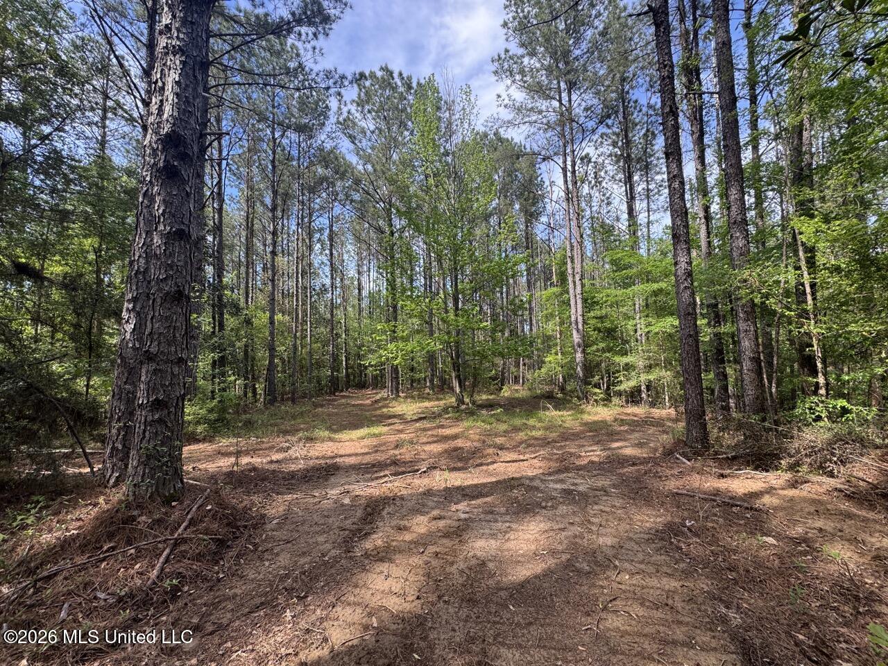 2683 33 Highway Property Photo 19