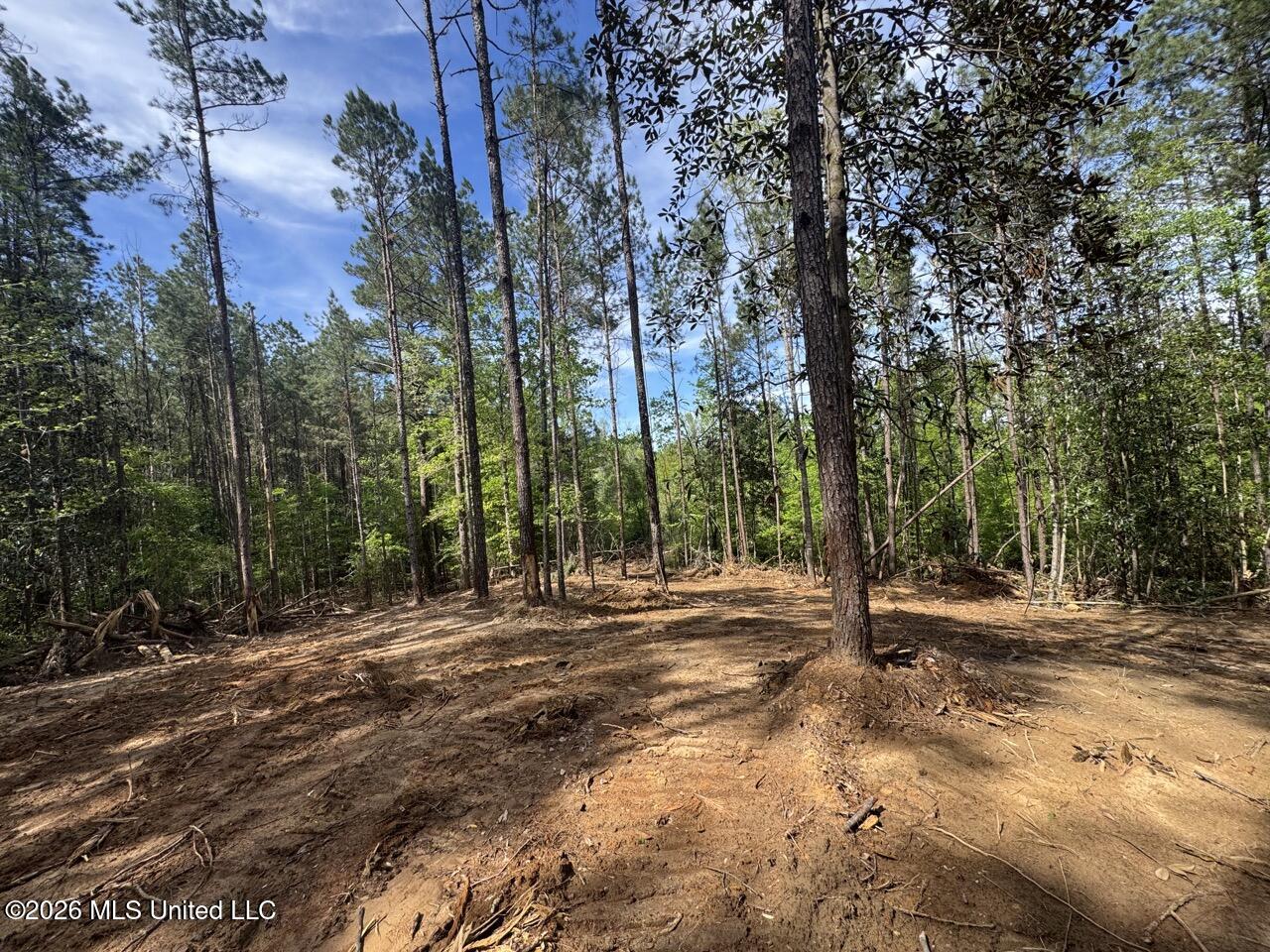 2683 33 Highway Property Photo 20