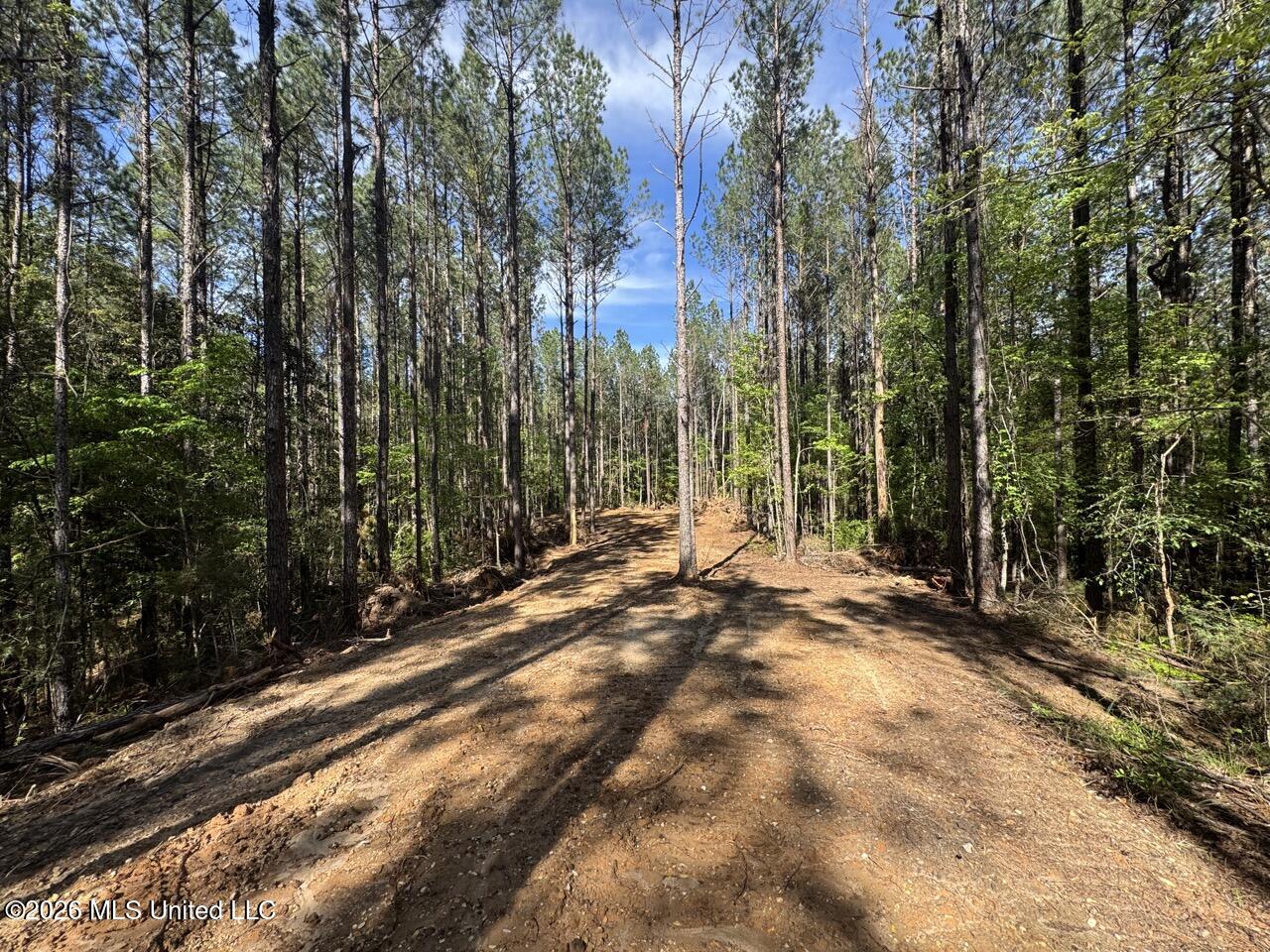 2683 33 Highway Property Photo 22