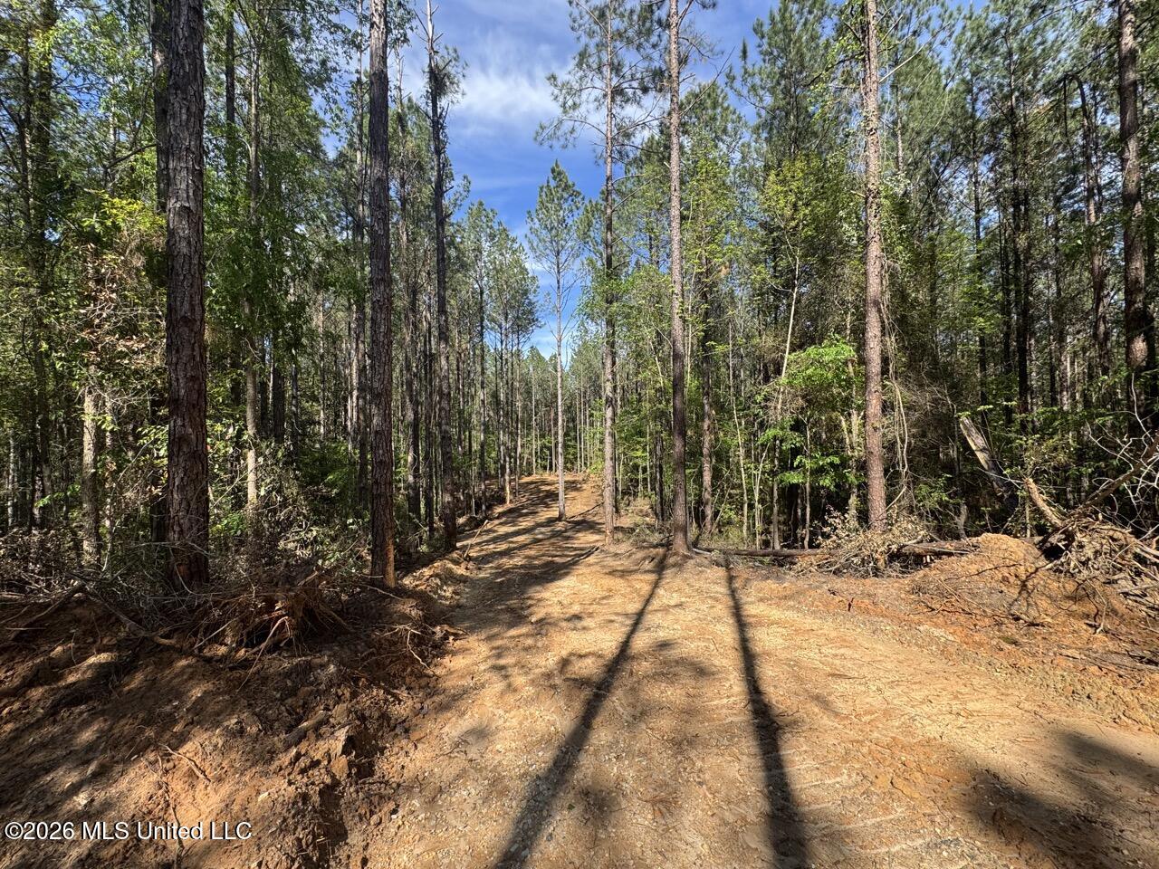 2683 33 Highway Property Photo 23
