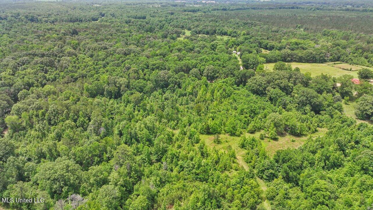 869 B Parks Road Property Photo 1
