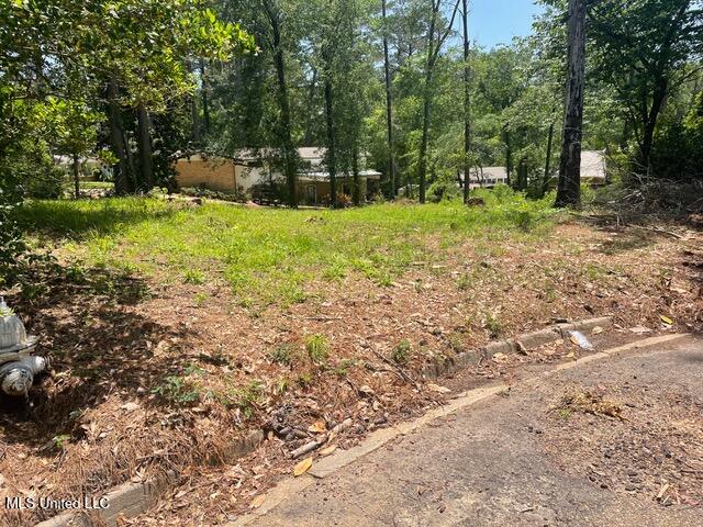 0 Roxbury Place Property Photo 1