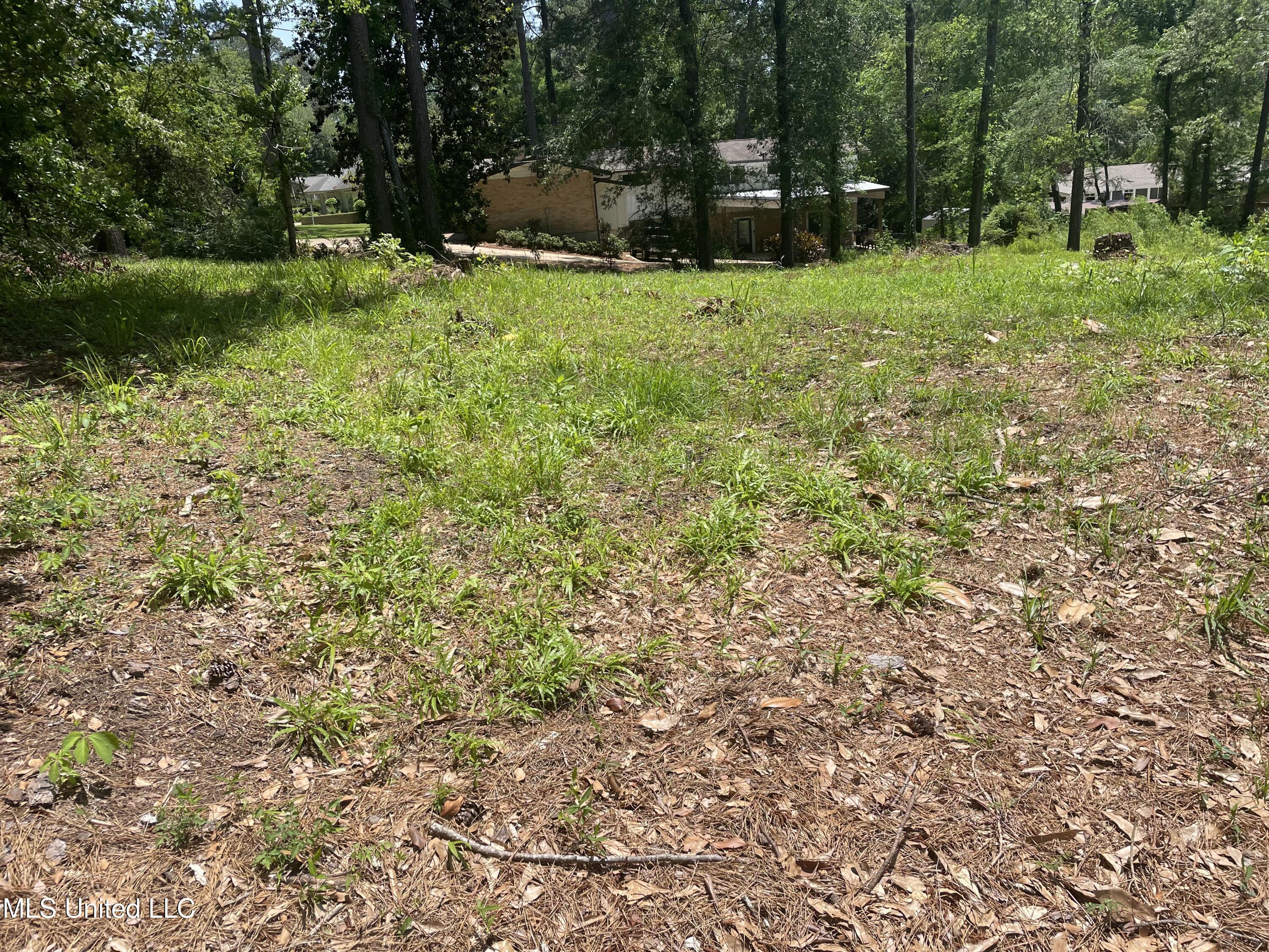 0 Roxbury Place Property Photo 2