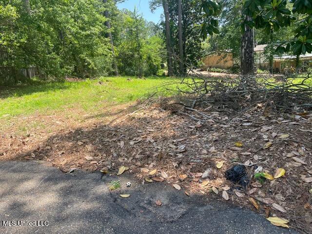 0 Roxbury Place Property Photo 3