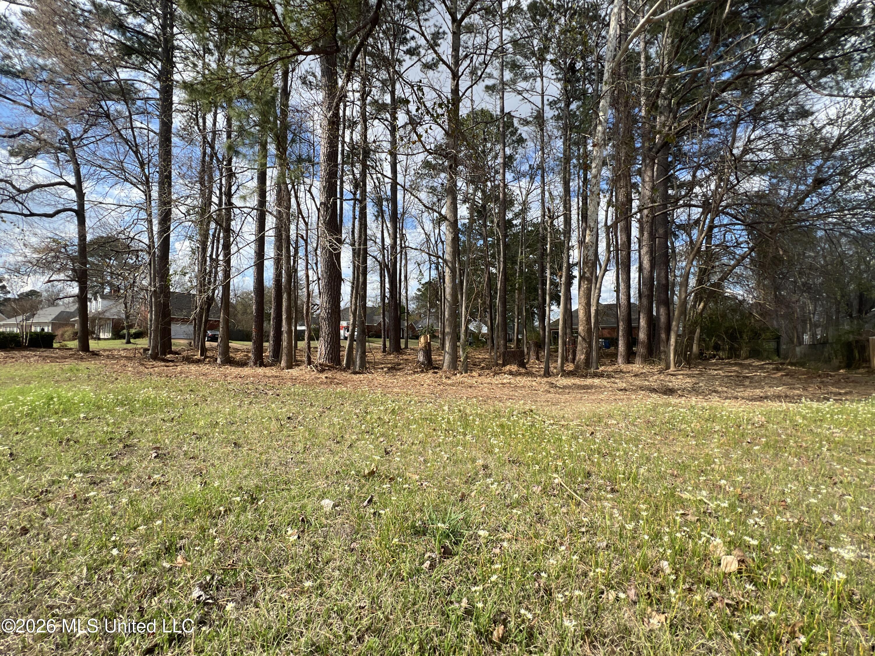Thorngate Drive Property Photo 4