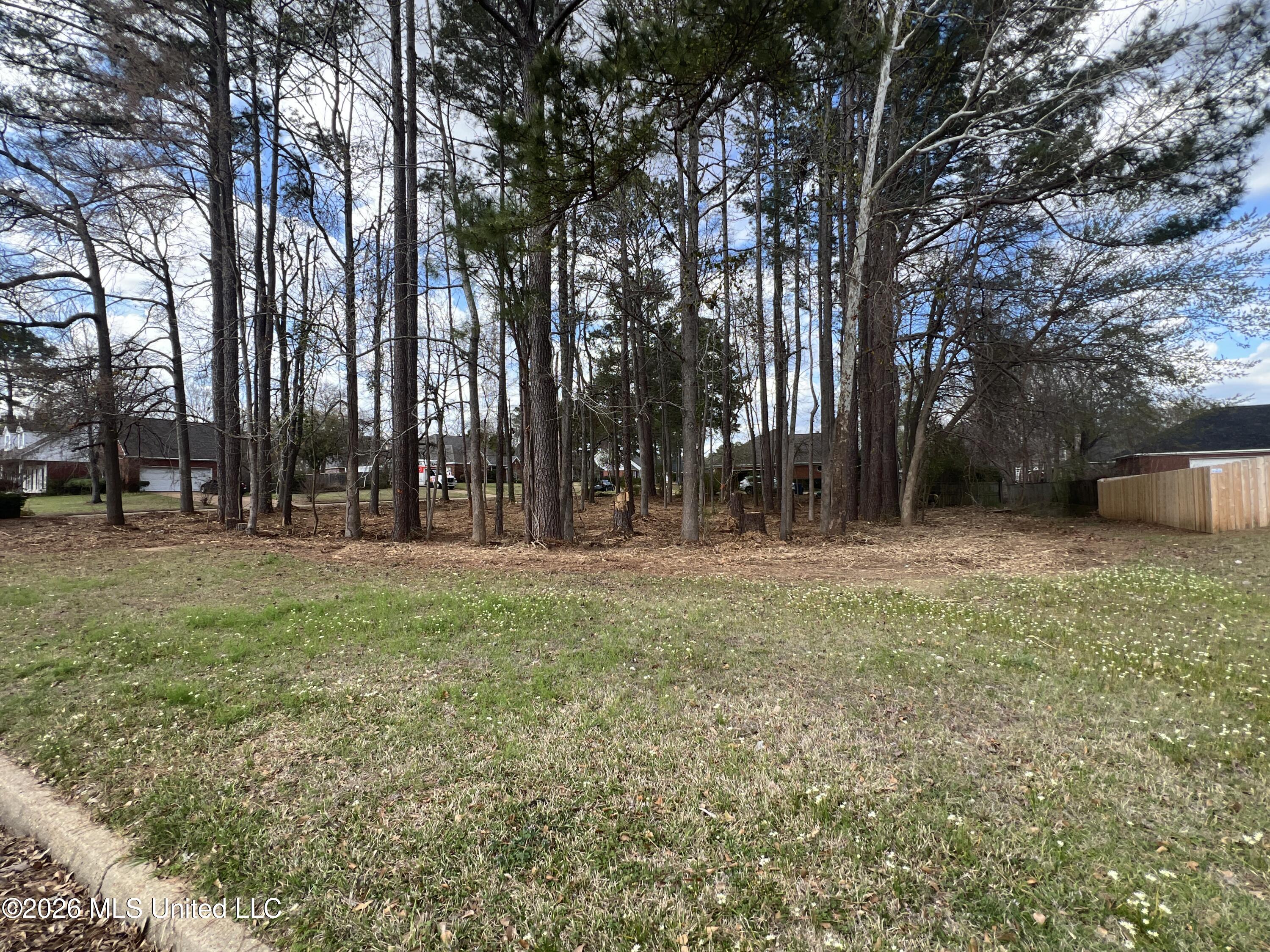 Thorngate Drive Property Photo 5