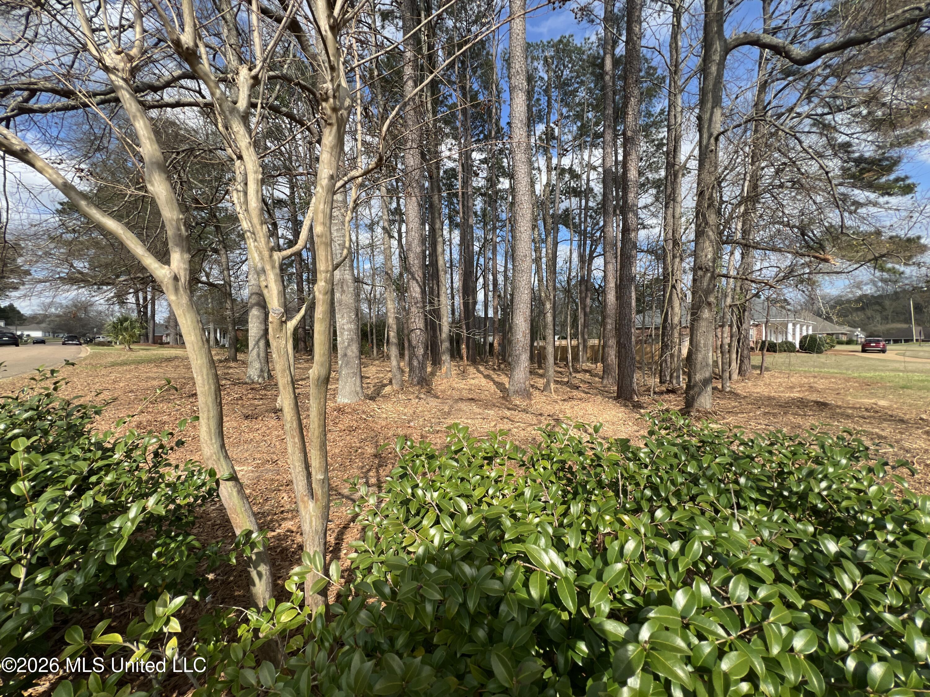 Thorngate Drive Property Photo 7