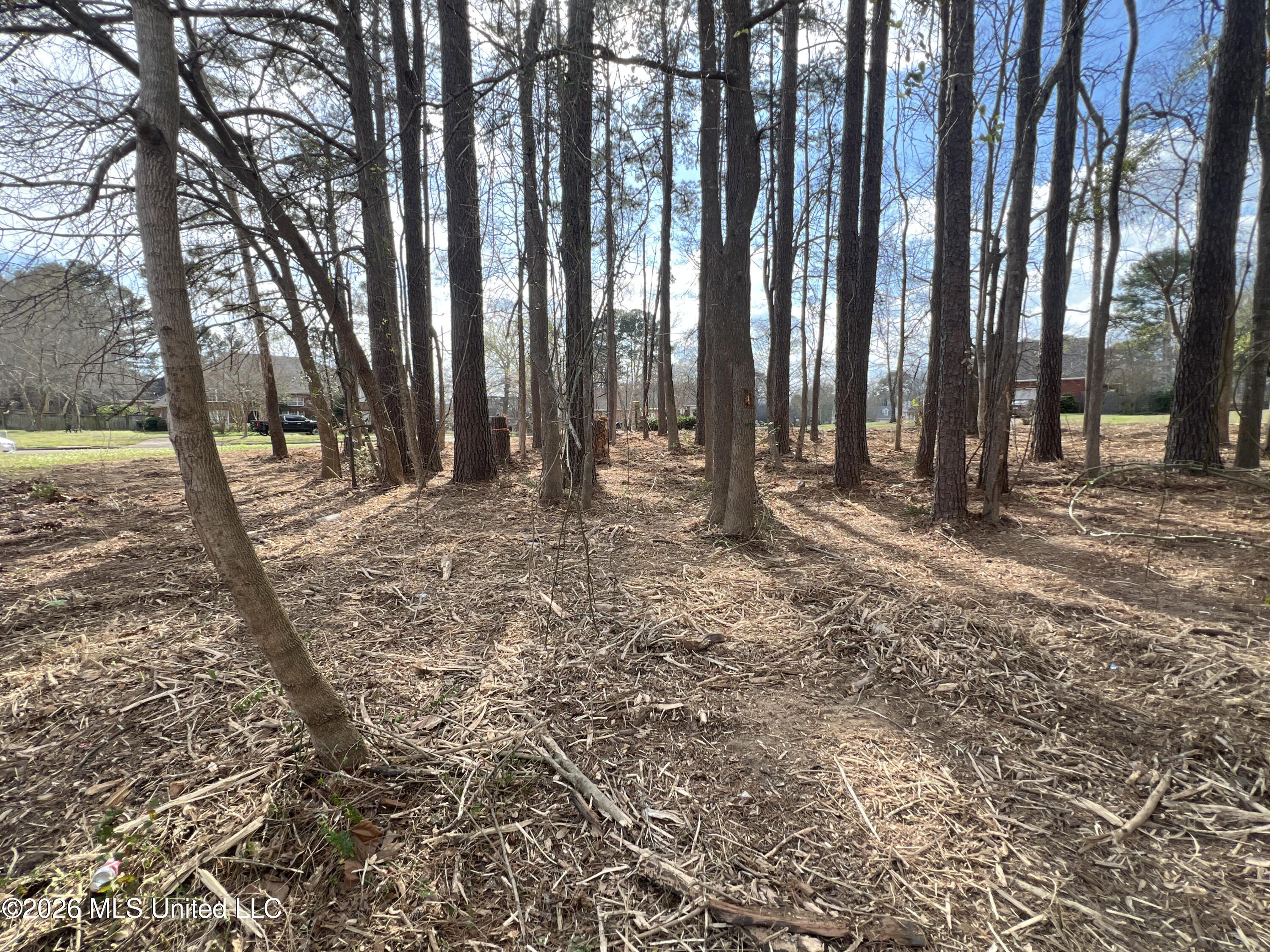 Thorngate Drive Property Photo 10