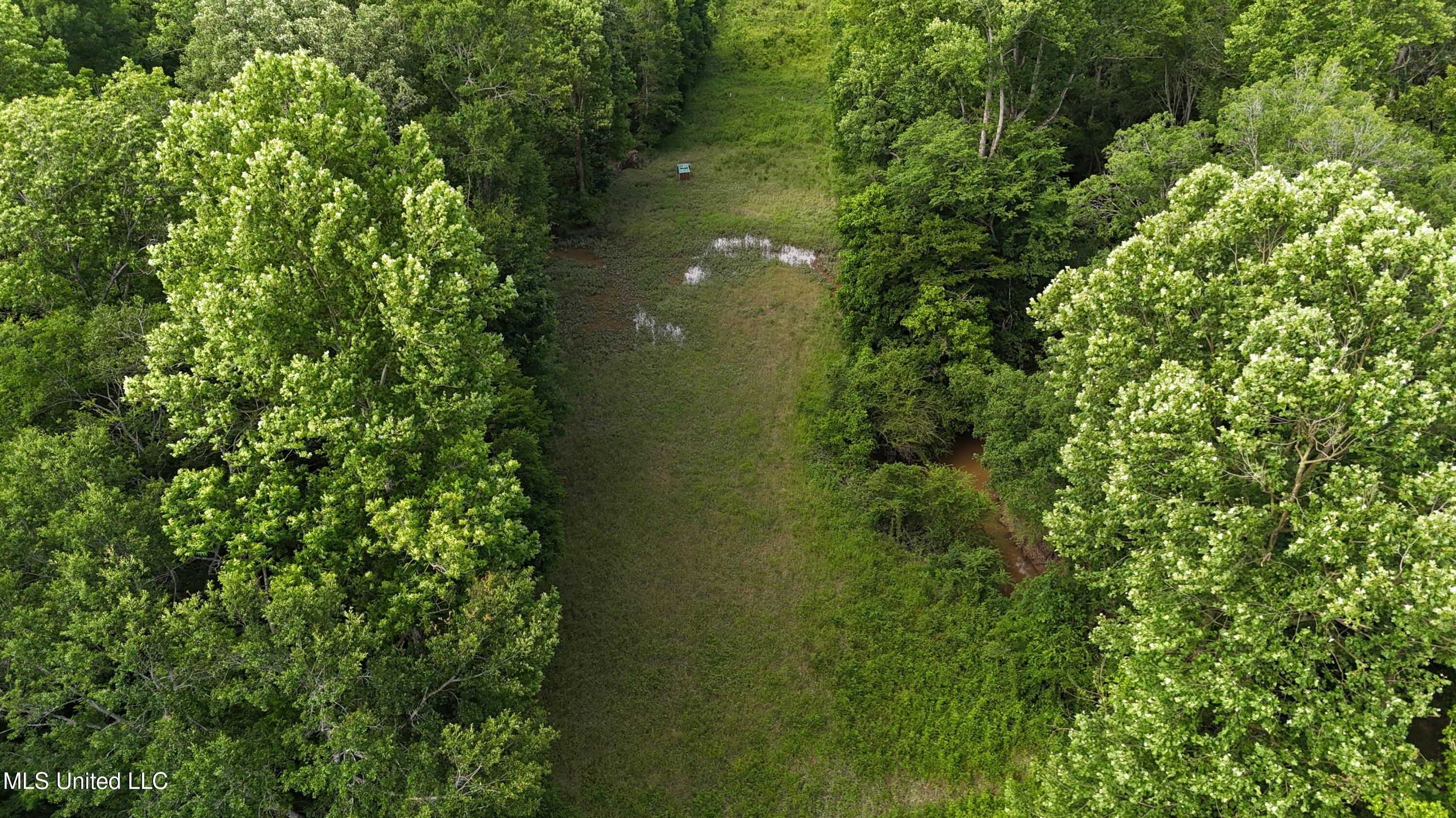 Ms-43 Property Photo 1