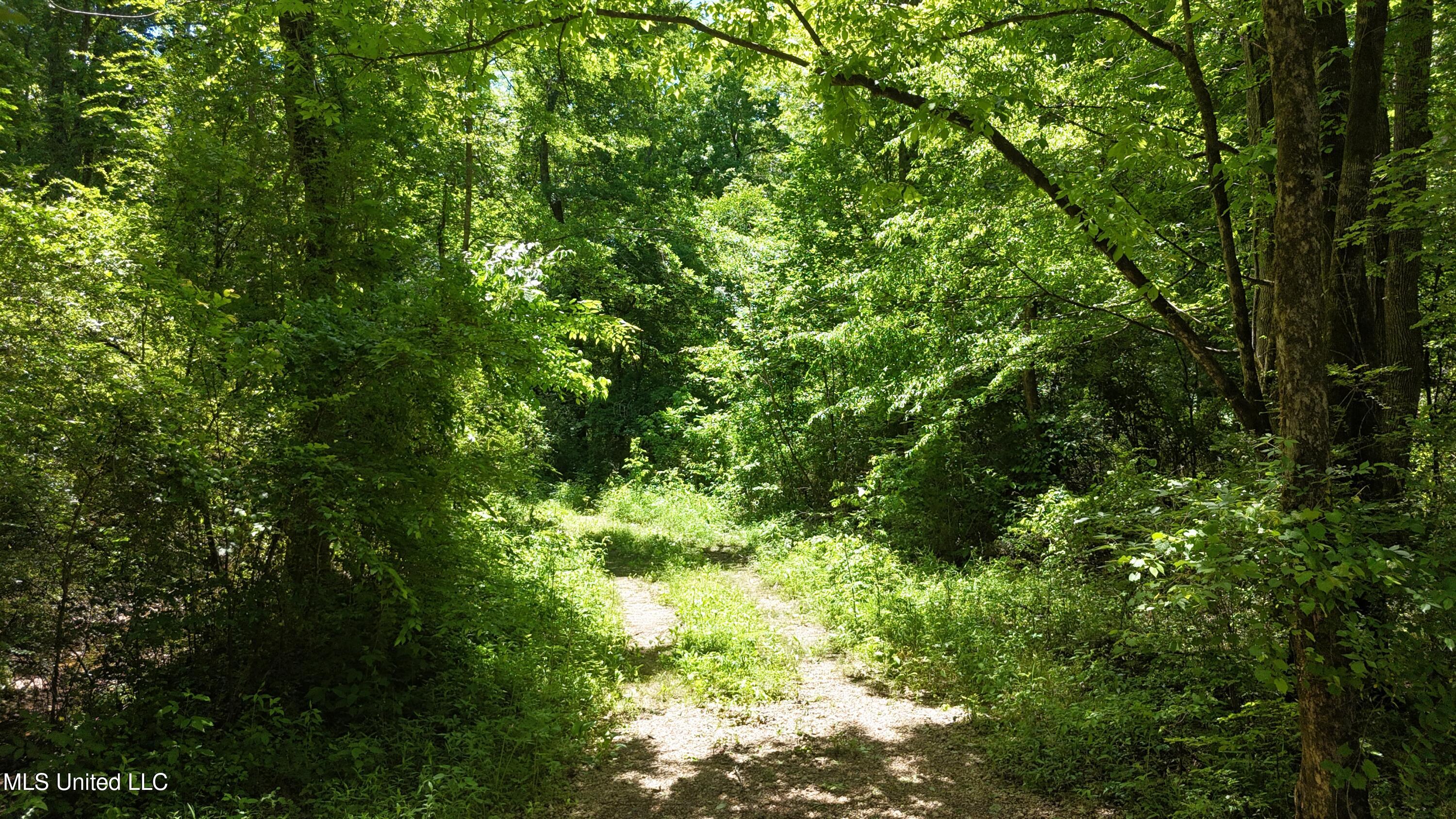 Ms-43 Property Photo 3