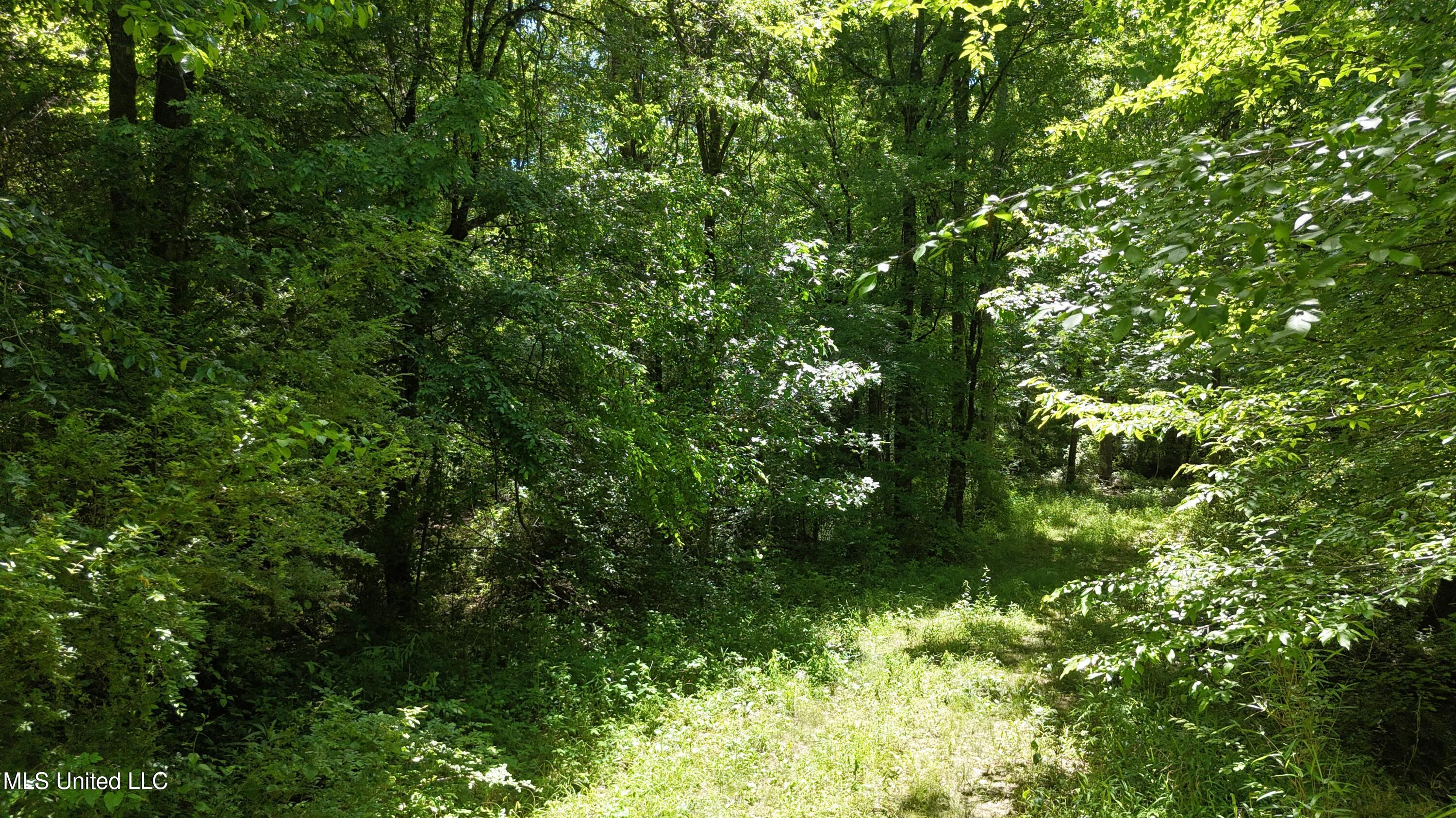 Ms-43 Property Photo 4