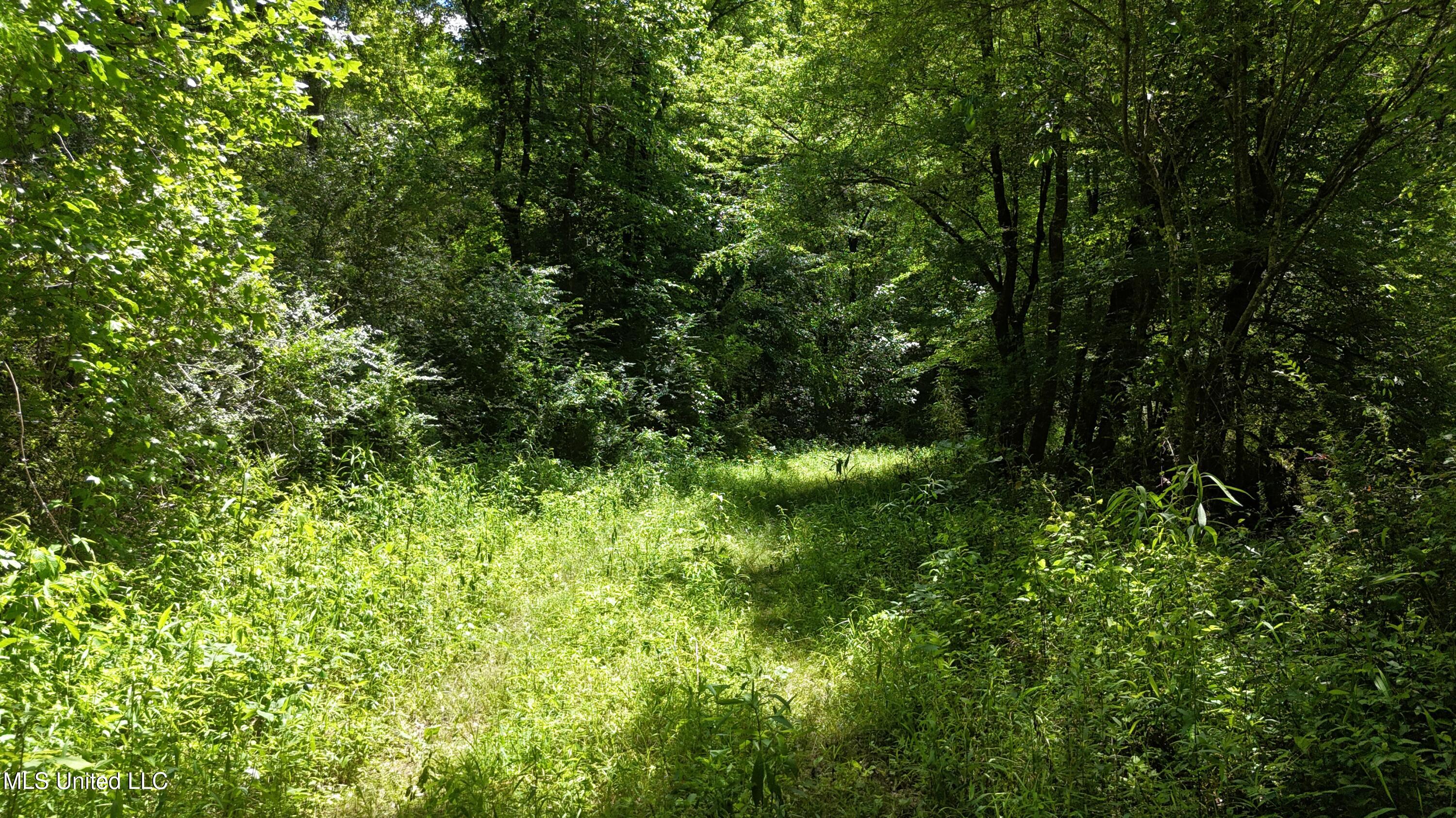 Ms-43 Property Photo 6