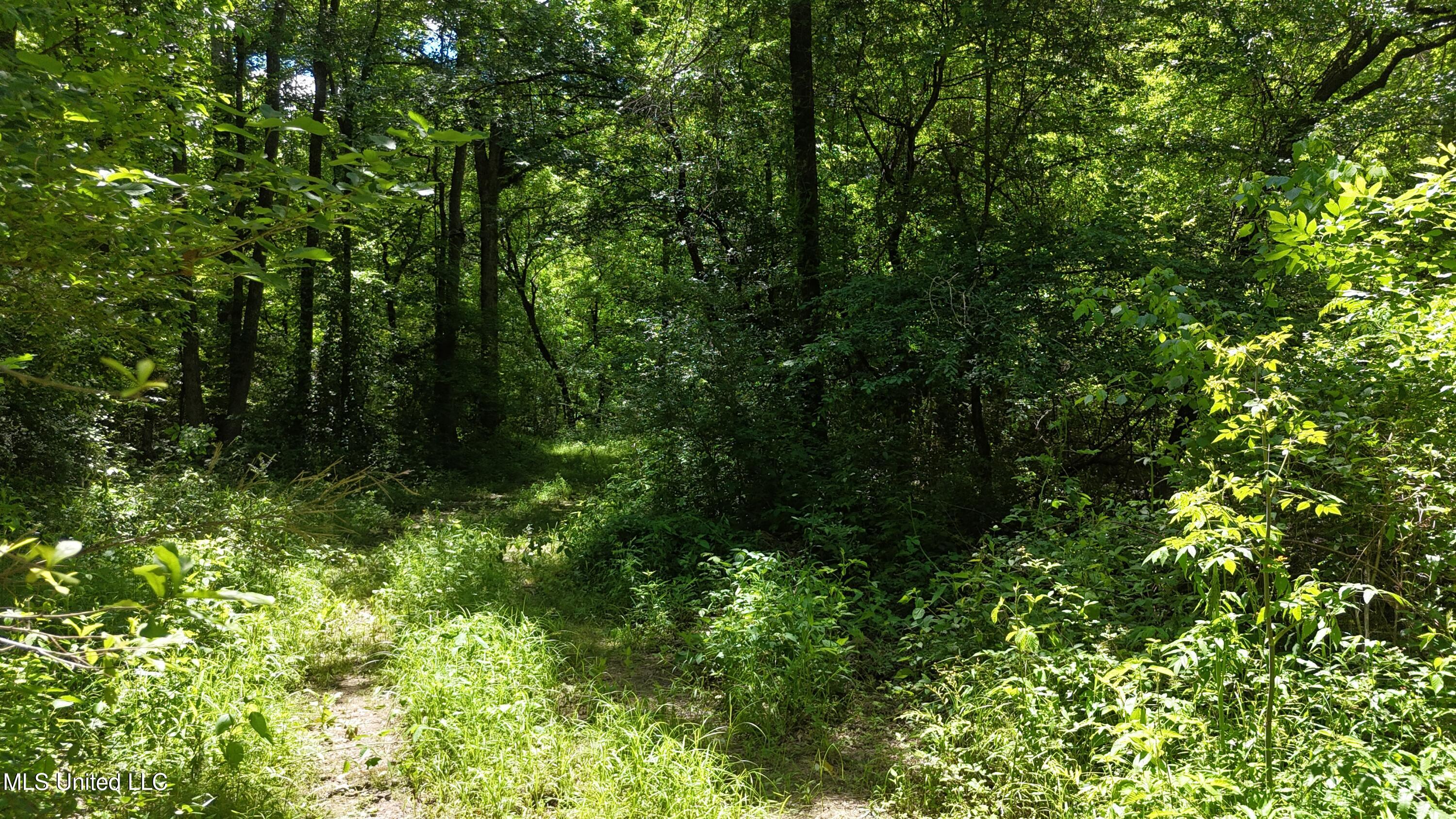 Ms-43 Property Photo 7