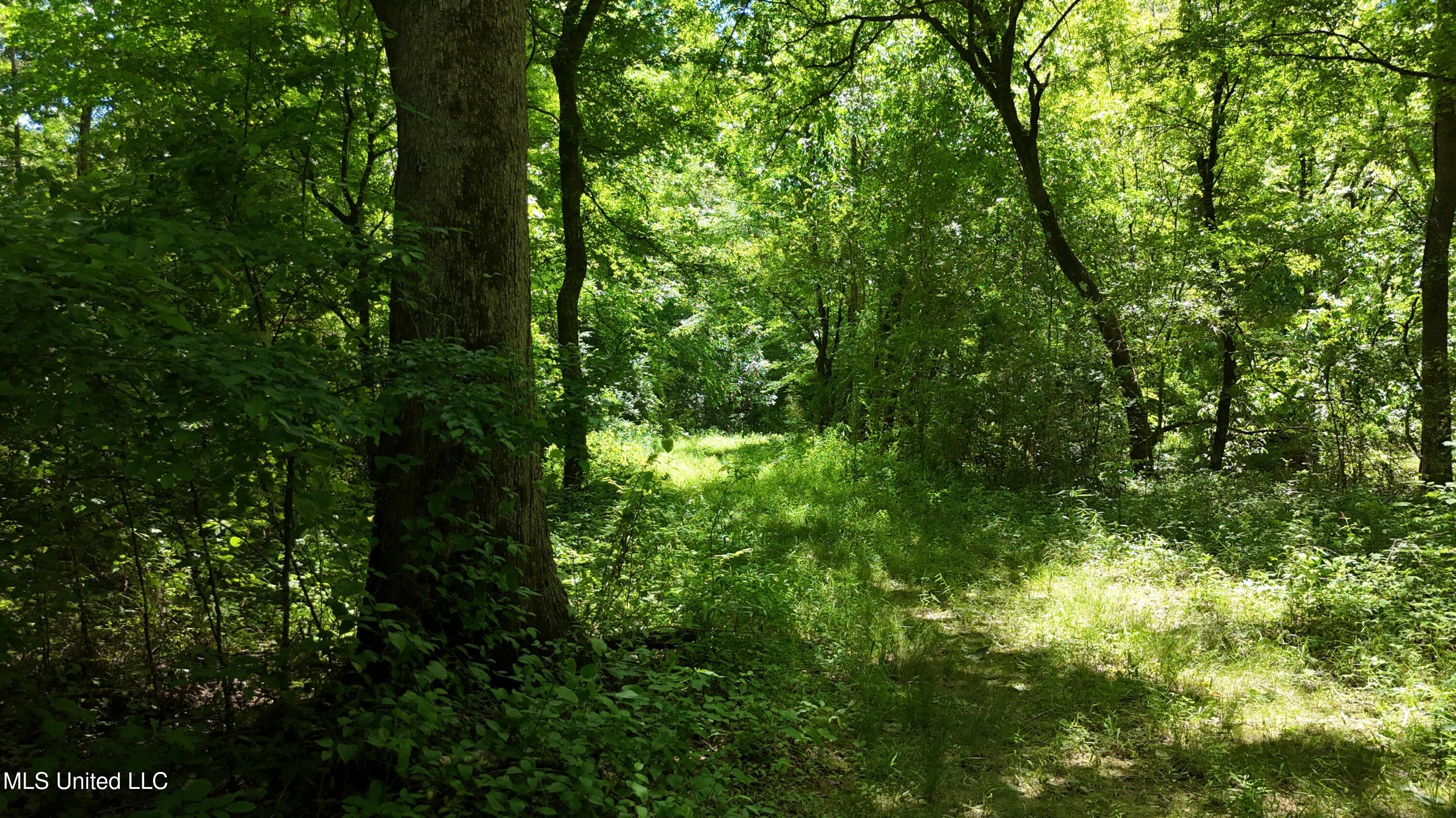 Ms-43 Property Photo 10