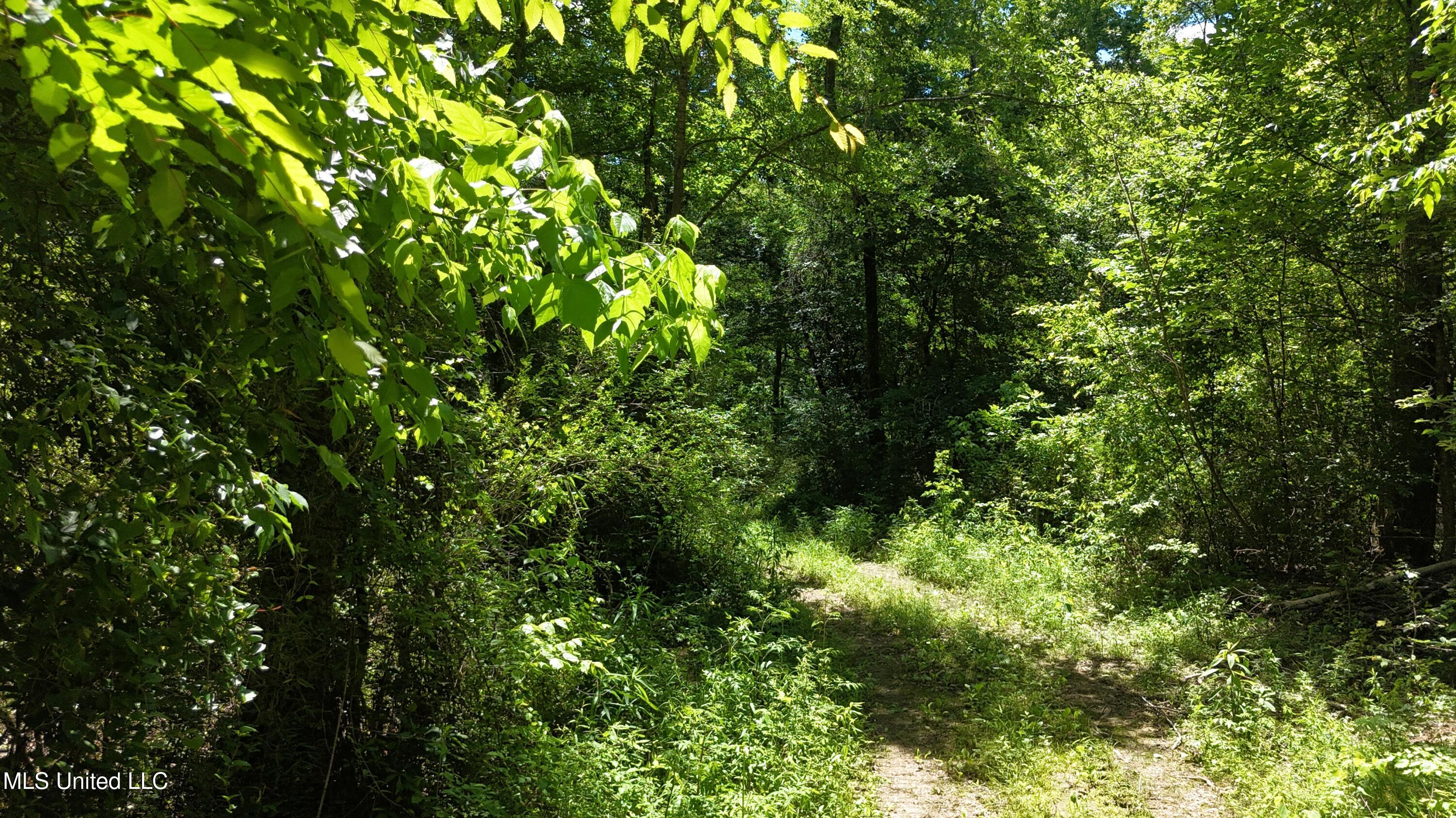 Ms-43 Property Photo 11