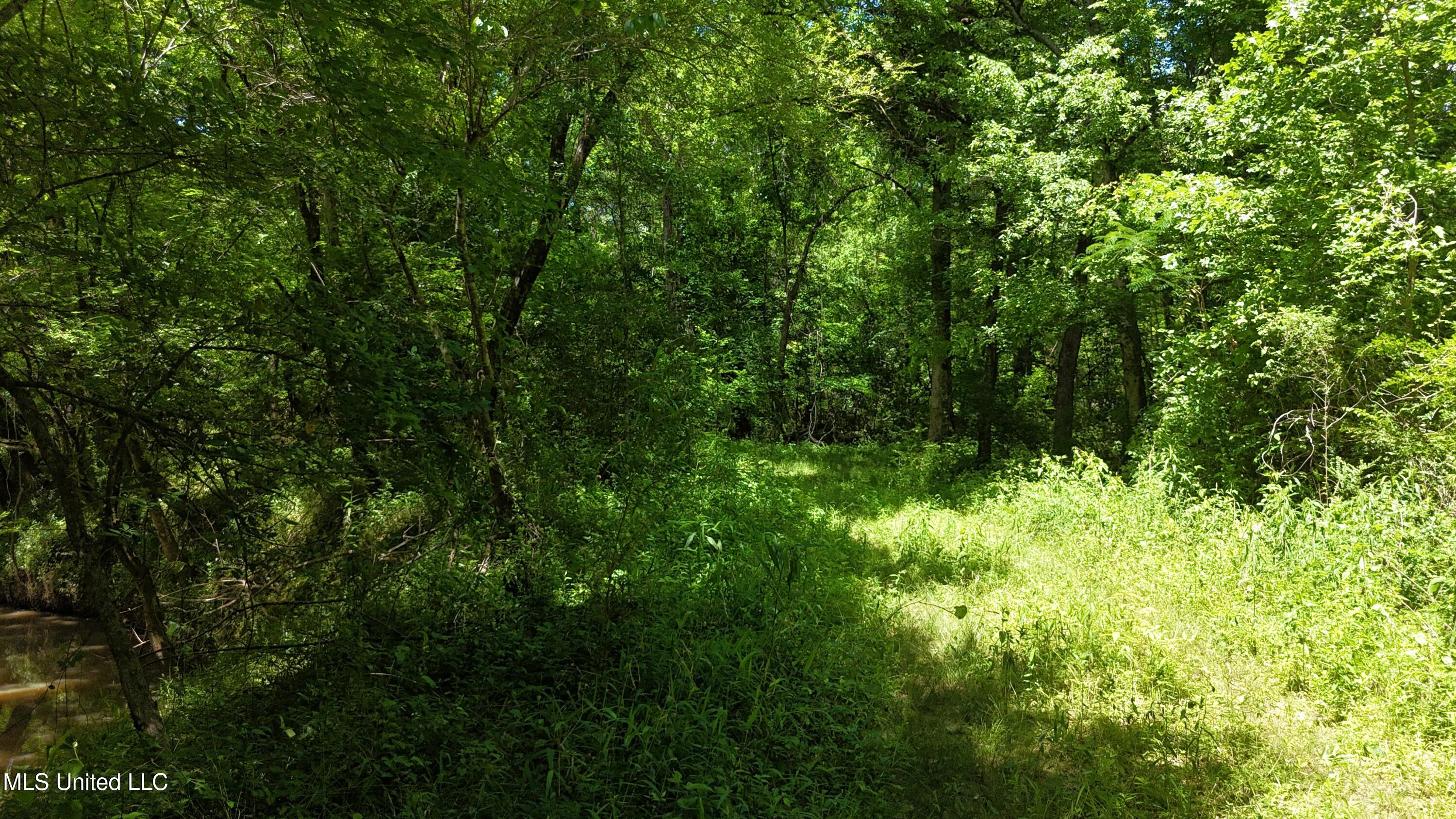 Ms-43 Property Photo 12