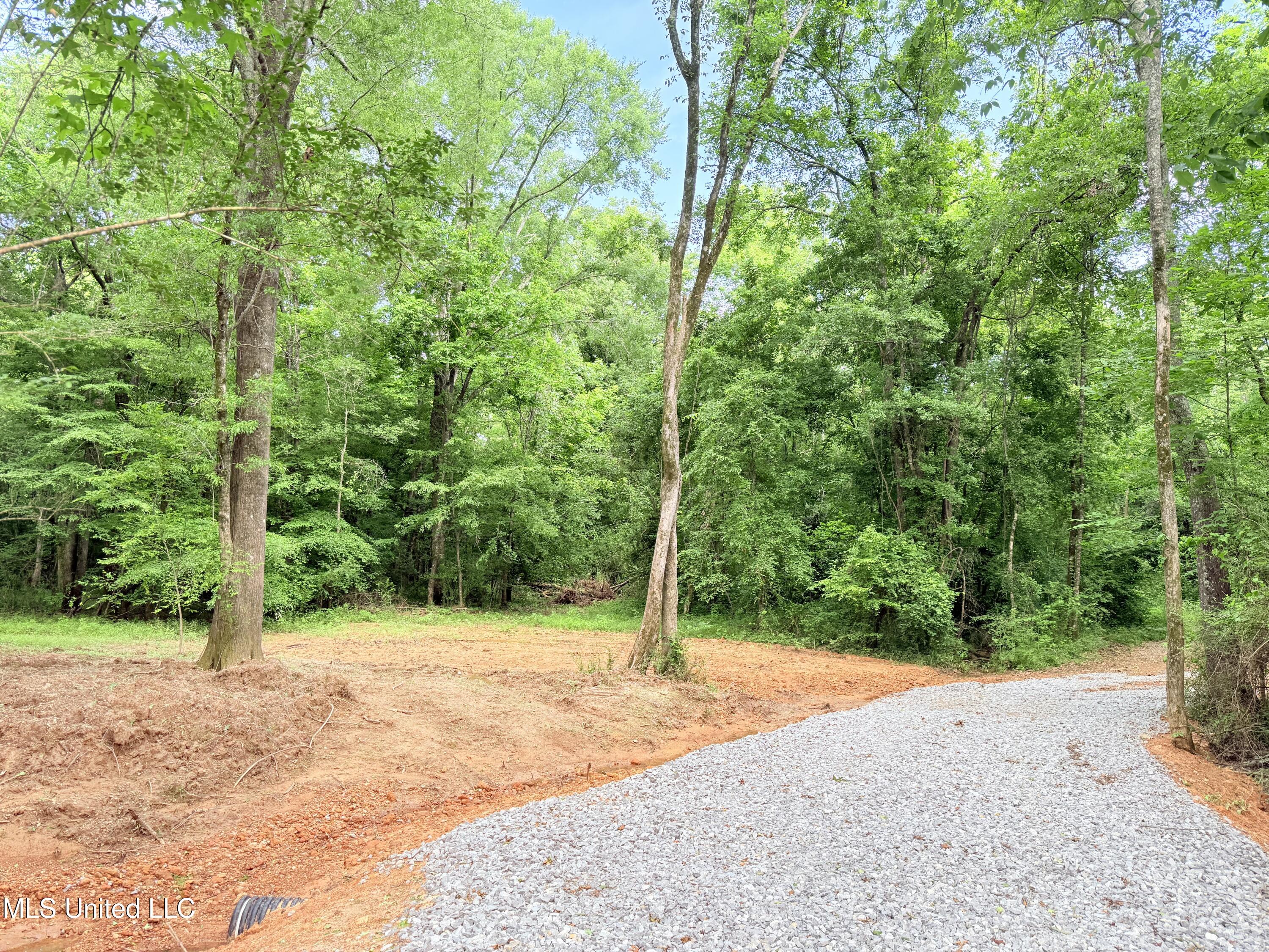 Ms-43 Property Photo 15