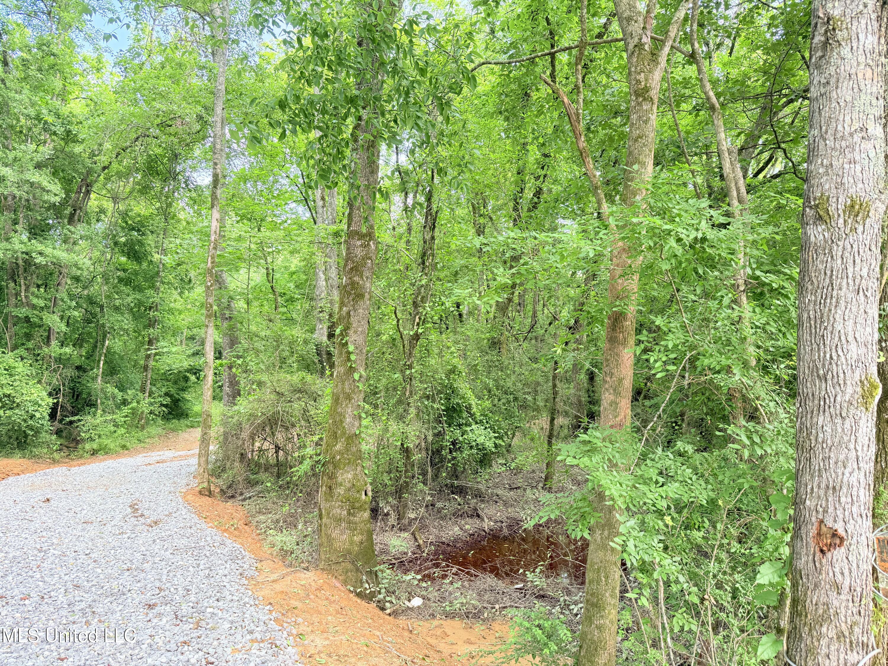 Ms-43 Property Photo 16