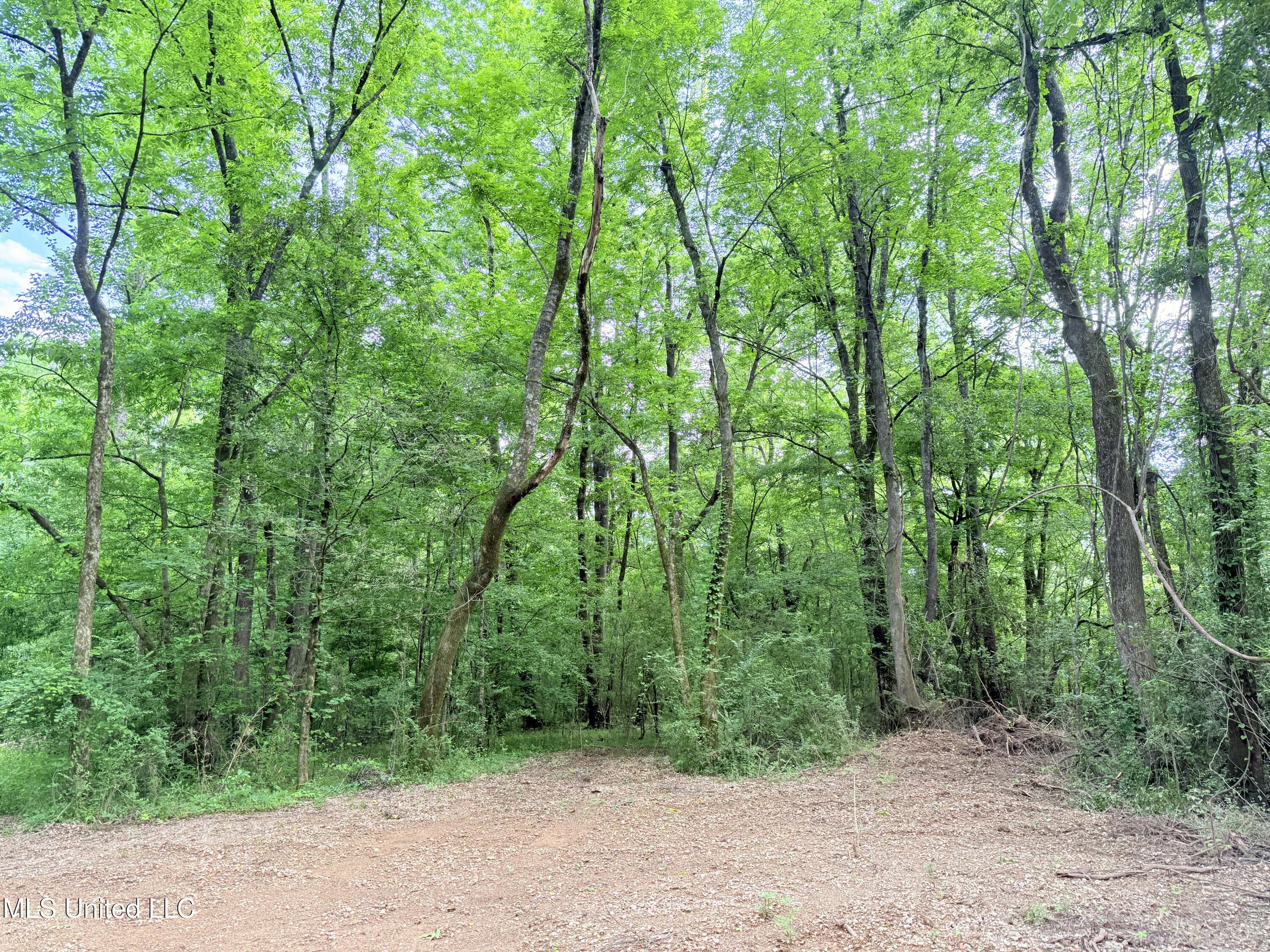 Ms-43 Property Photo 17