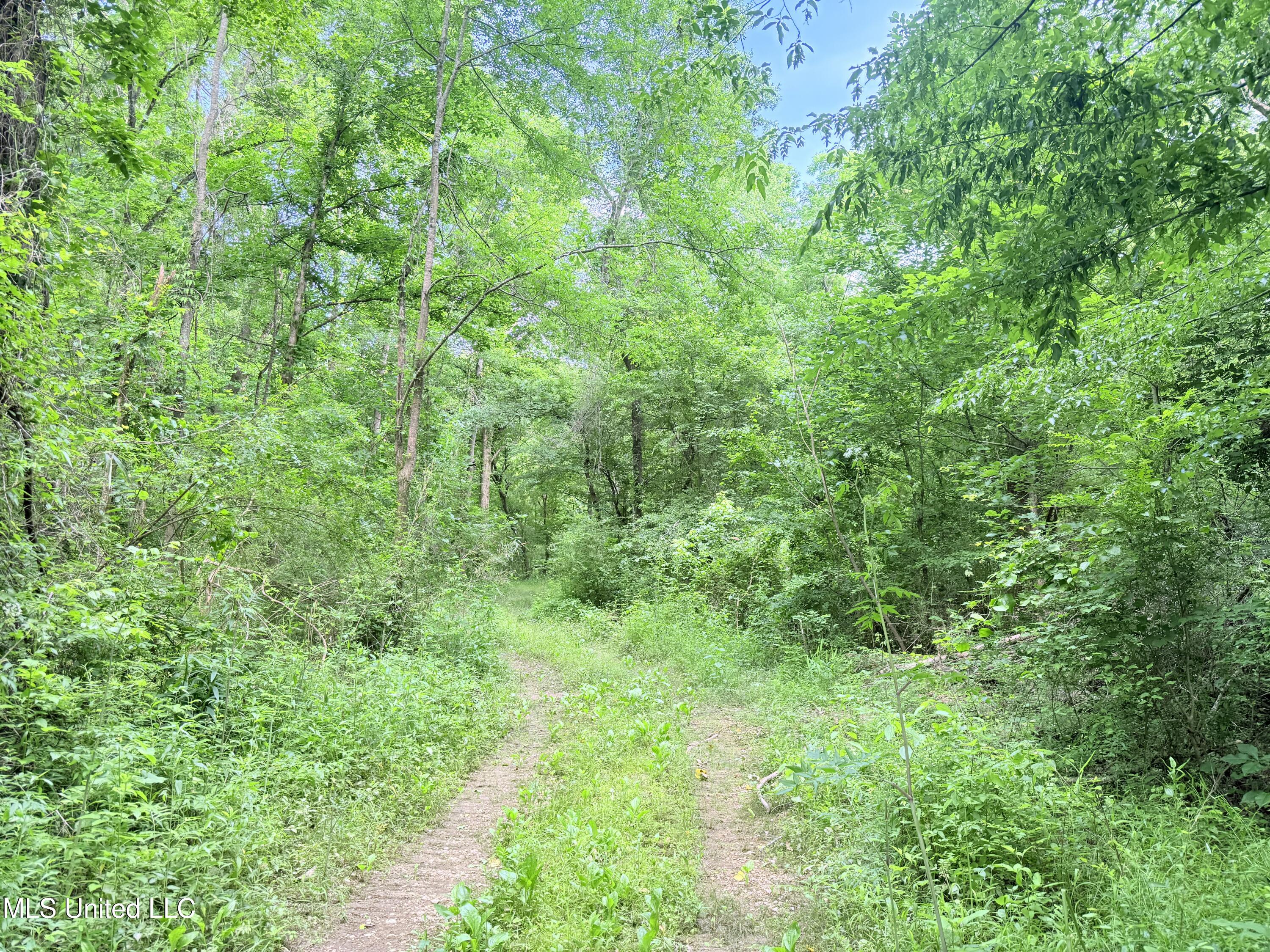Ms-43 Property Photo 18