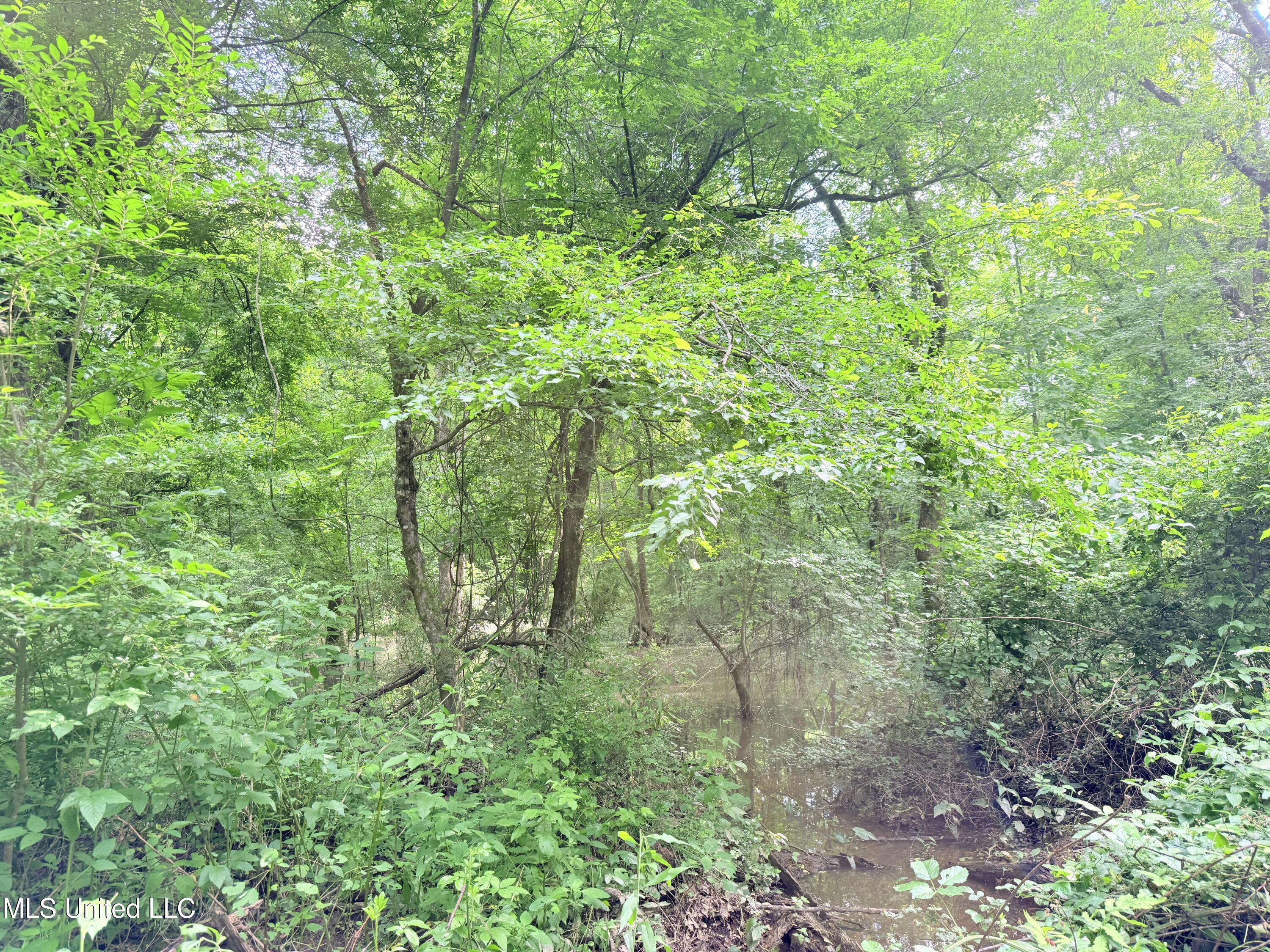 Ms-43 Property Photo 19