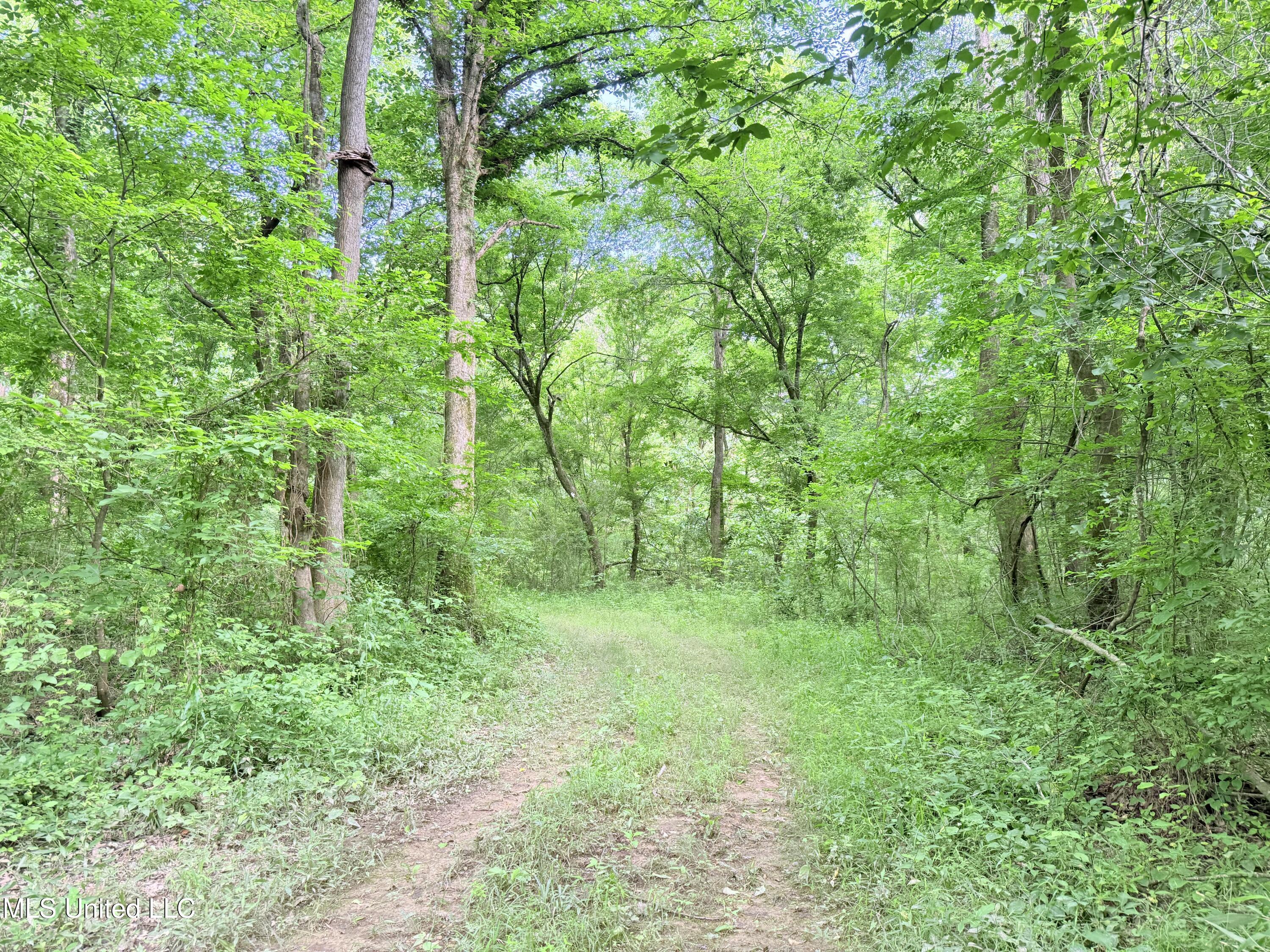 Ms-43 Property Photo 20