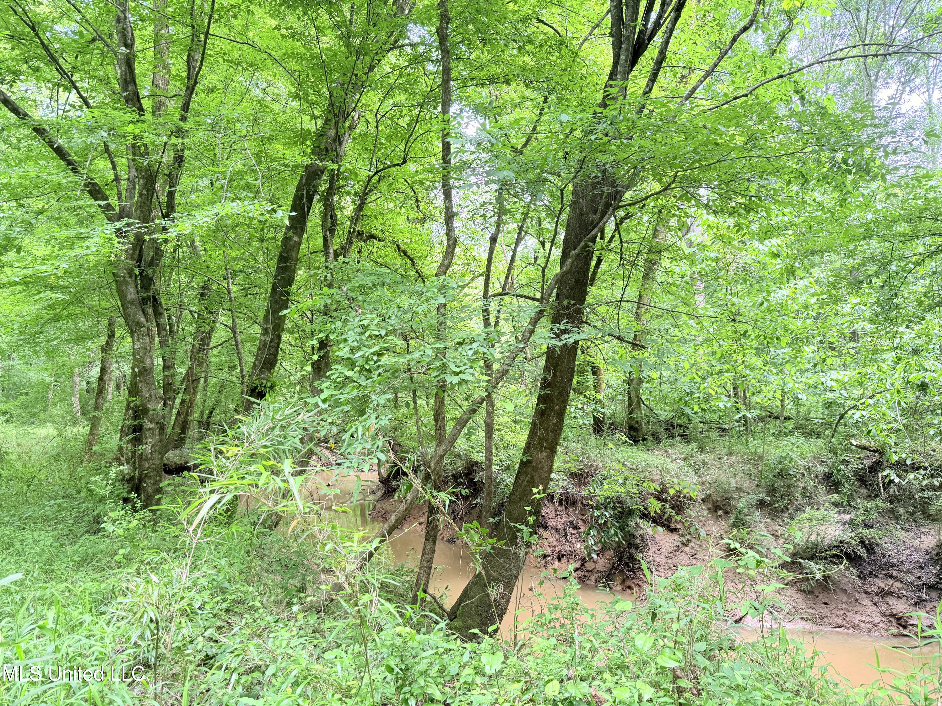Ms-43 Property Photo 21
