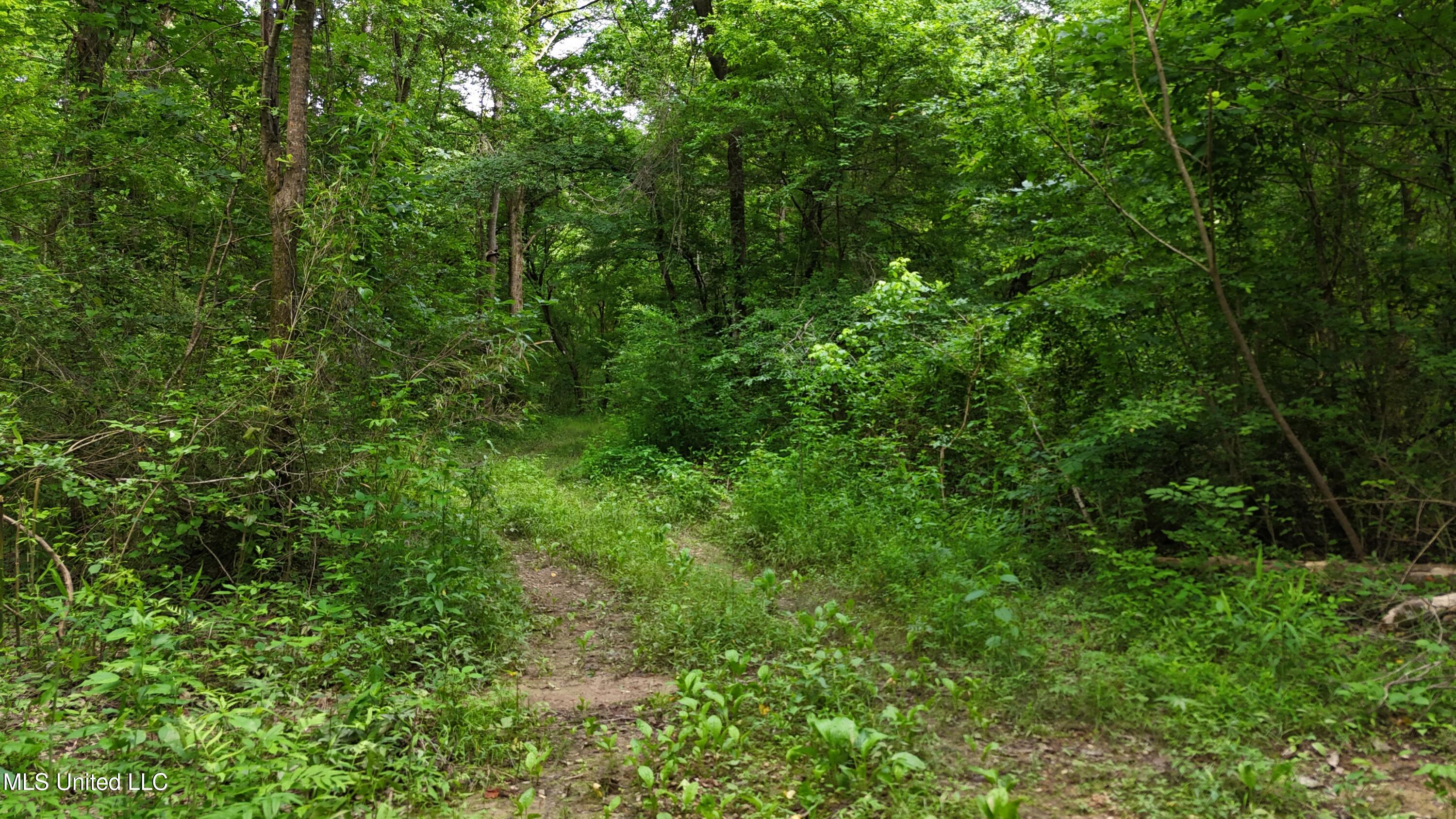 Ms-43 Property Photo 27