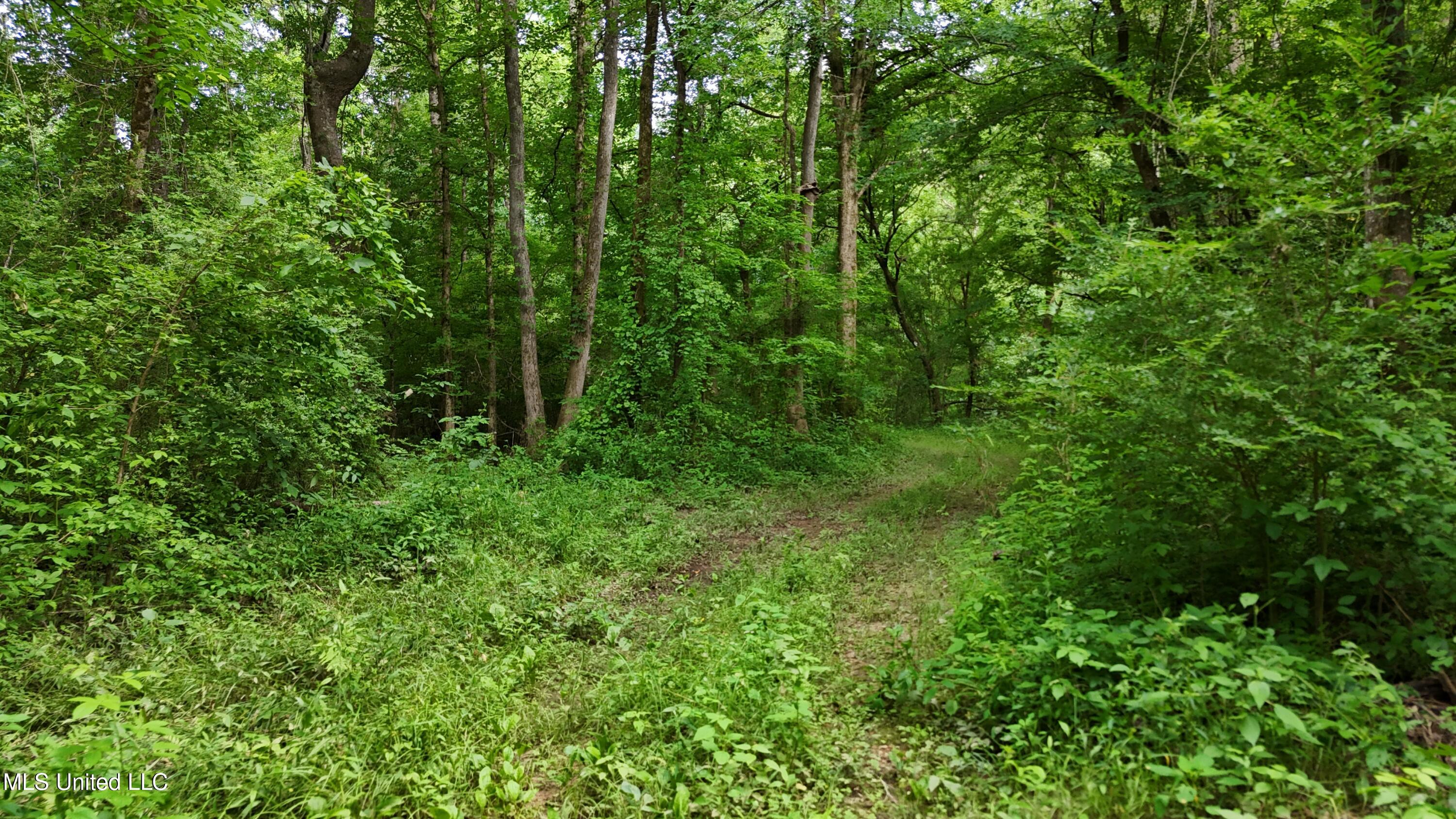 Ms-43 Property Photo 28