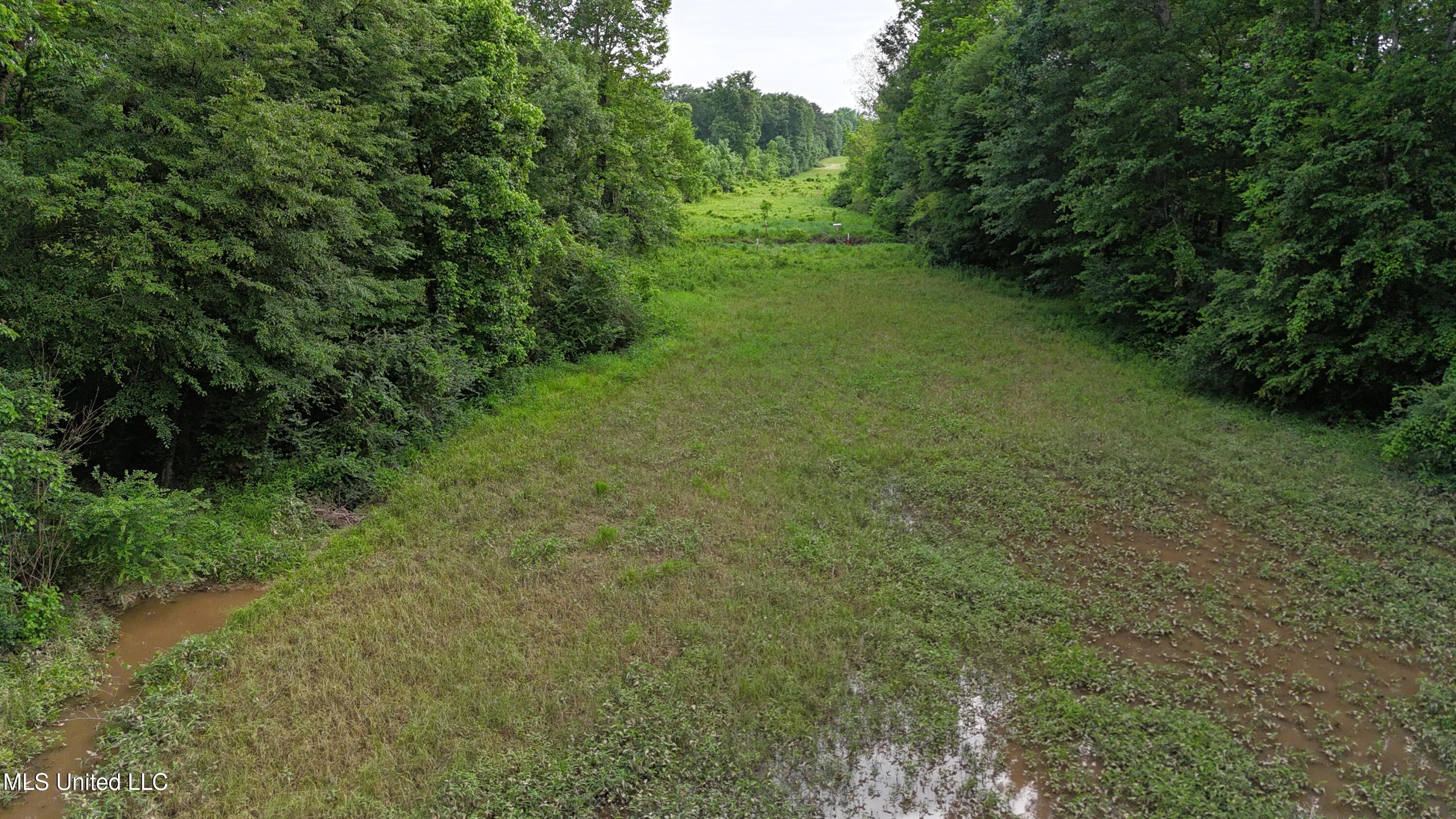 Ms-43 Property Photo 33
