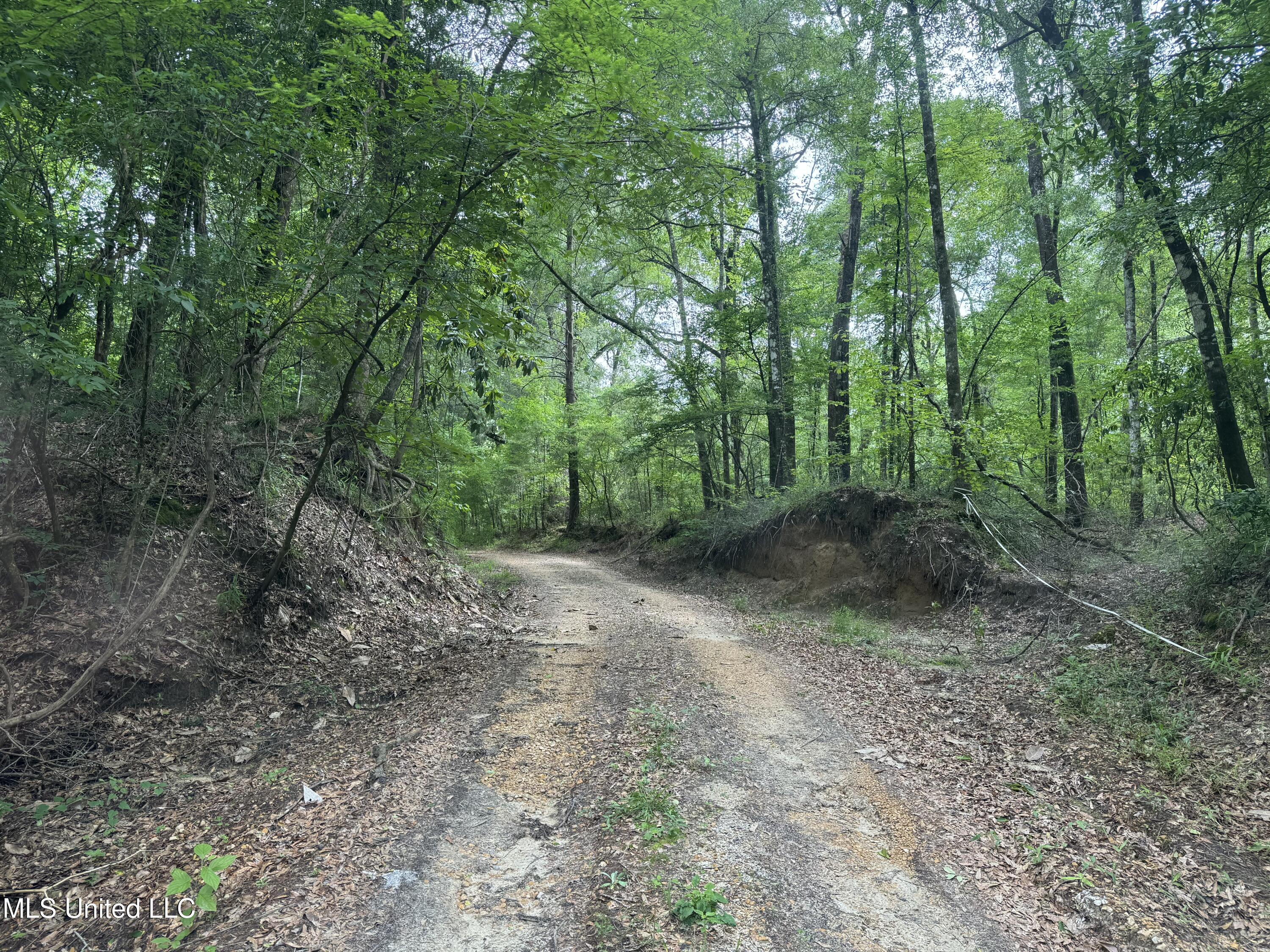 2550 Moncure Road Property Photo 5