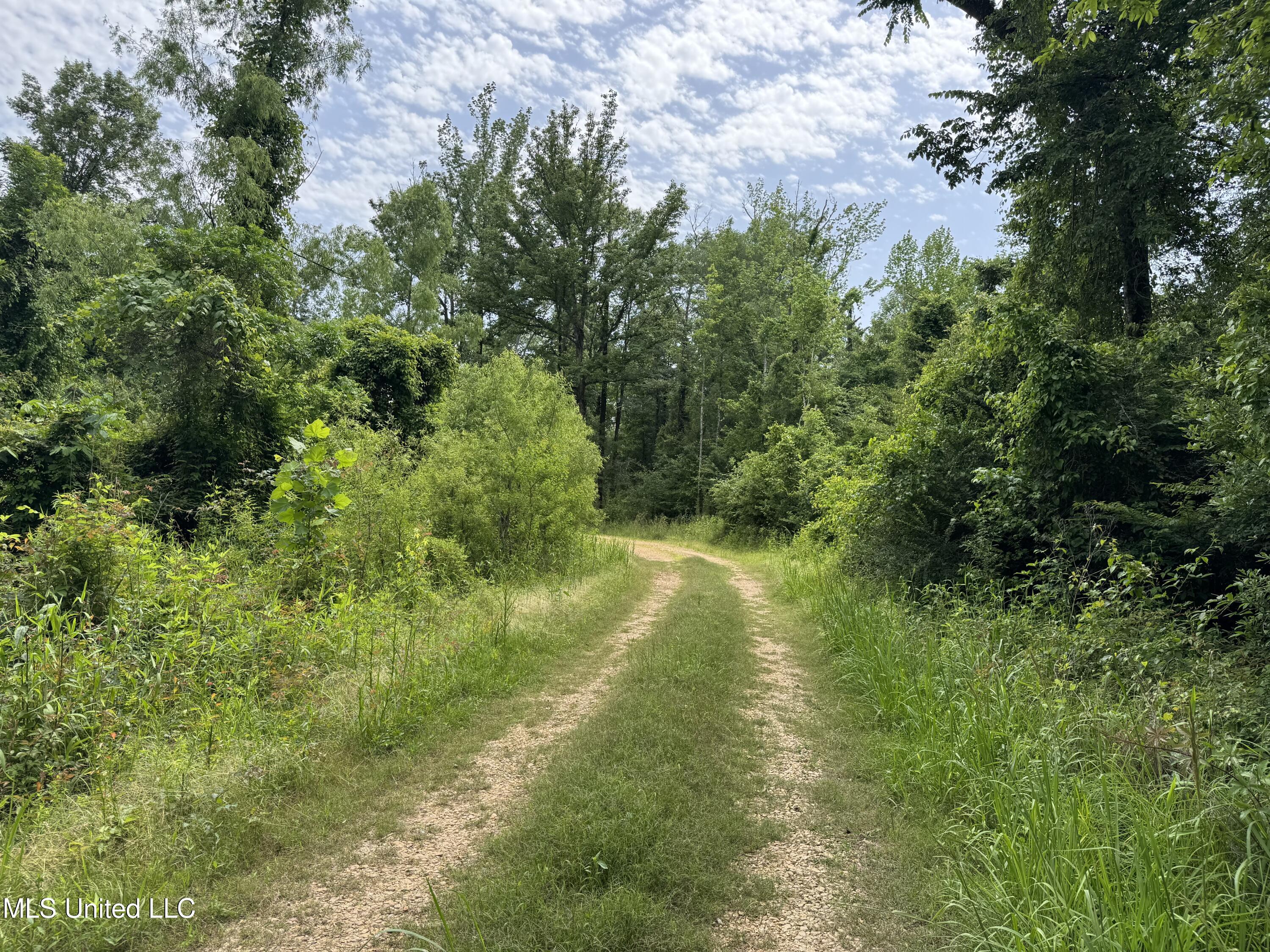 2550 Moncure Road Property Photo 8