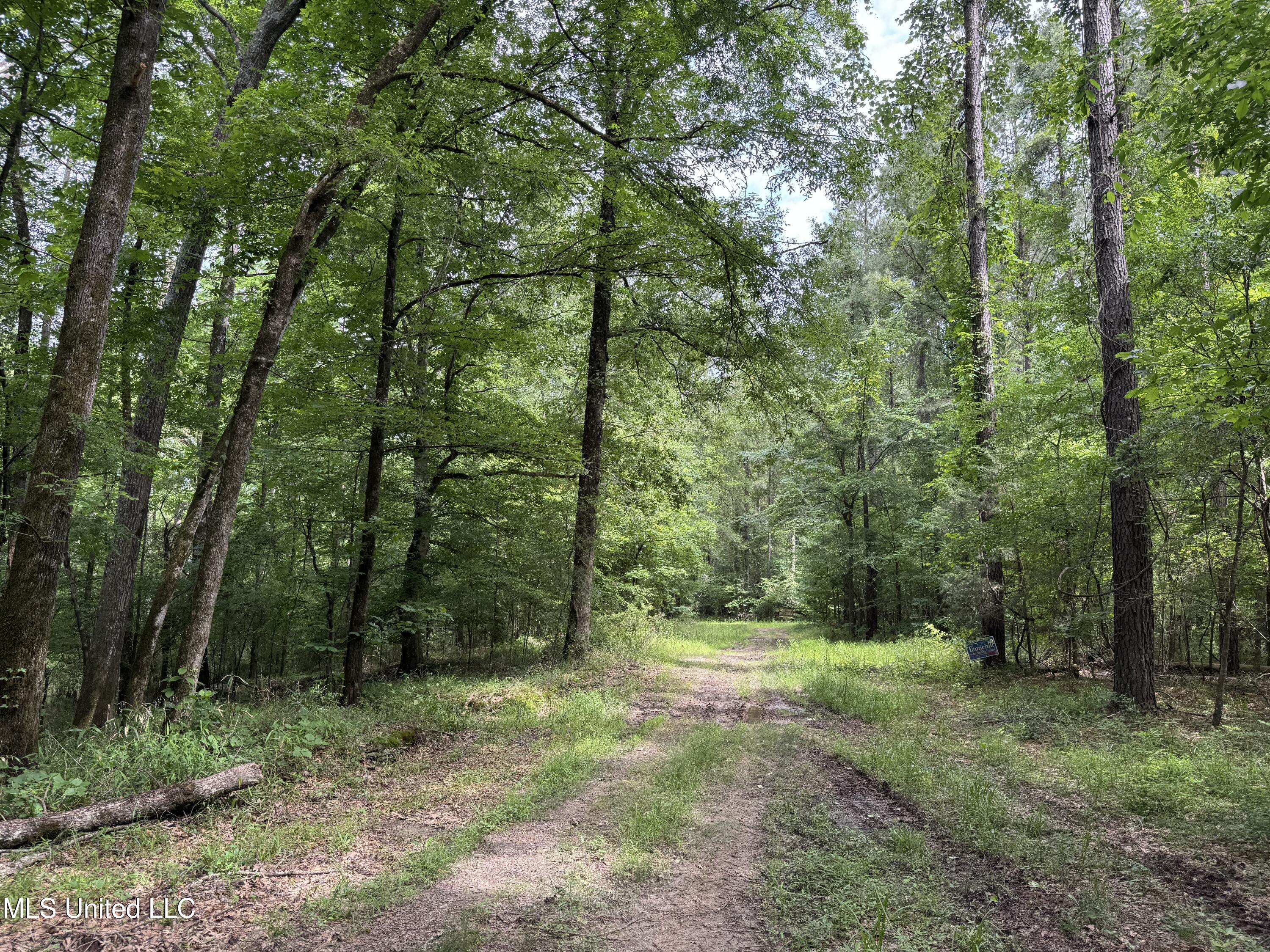 2550 Moncure Road Property Photo 9
