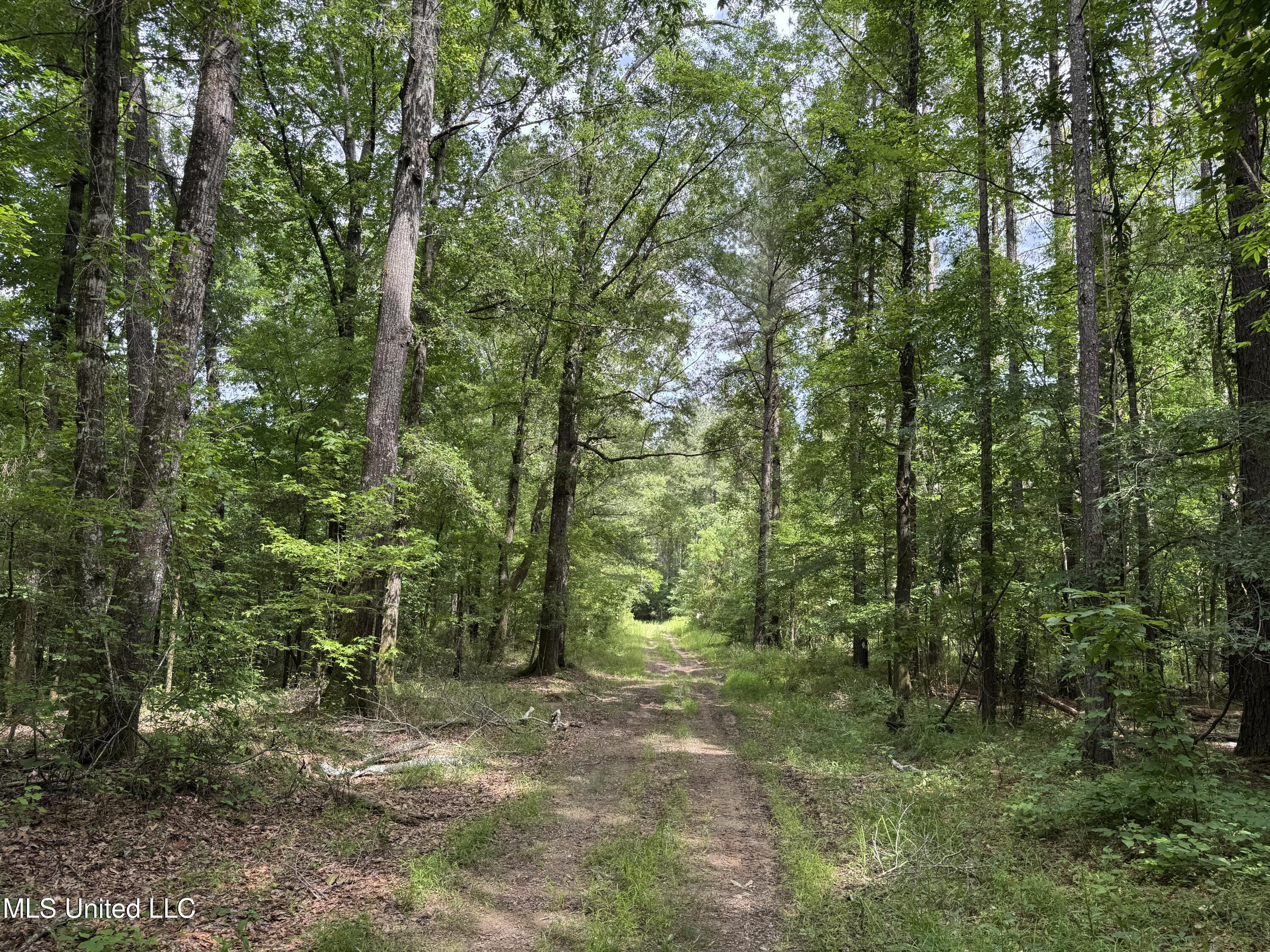 2550 Moncure Road Property Photo 10