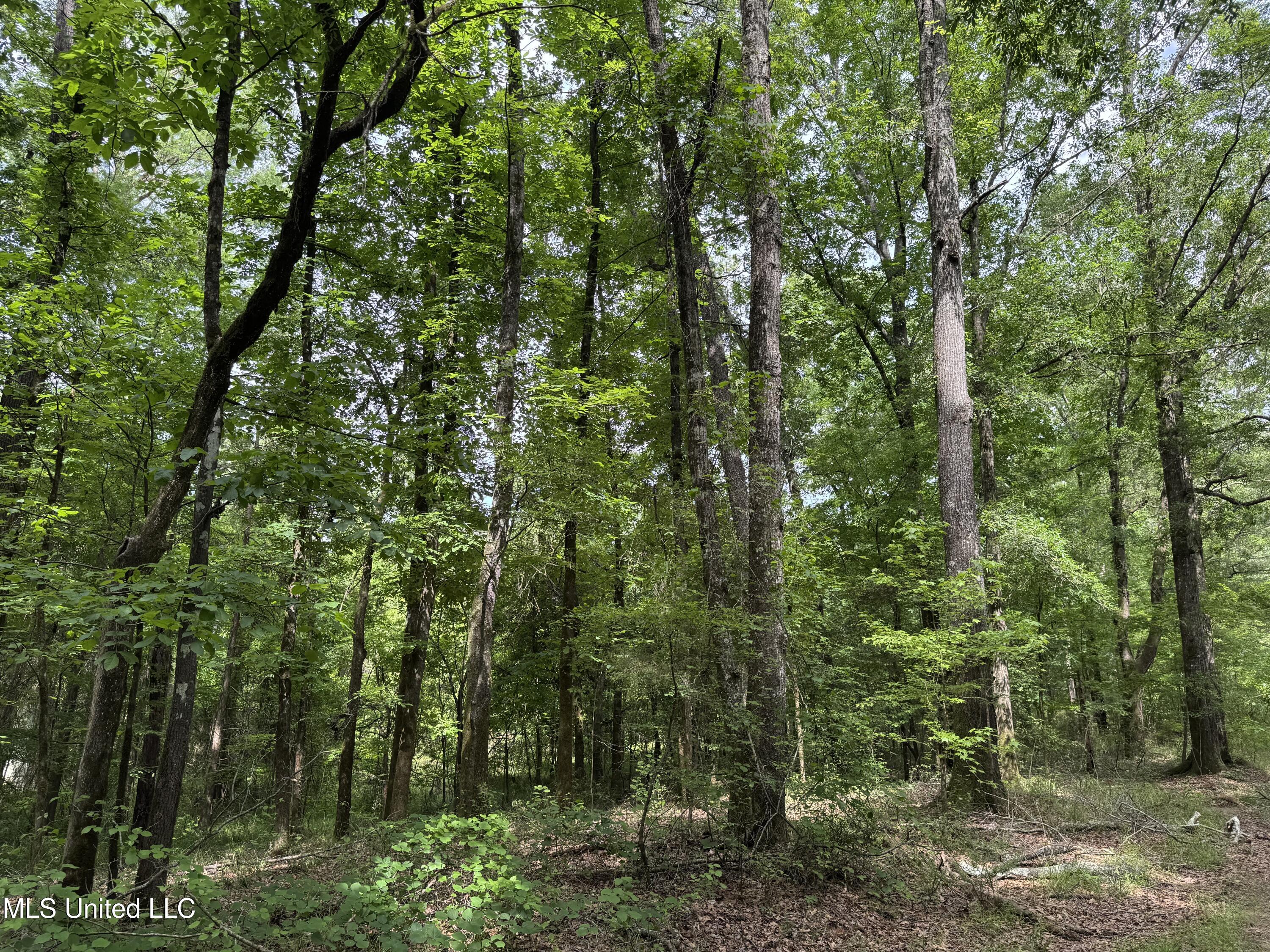 2550 Moncure Road Property Photo 11