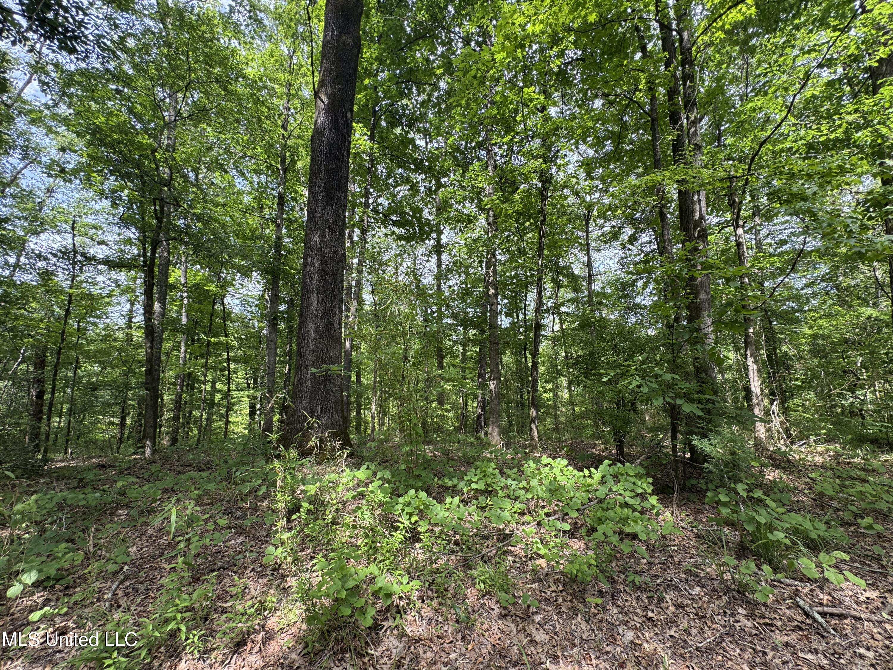 2550 Moncure Road Property Photo 12