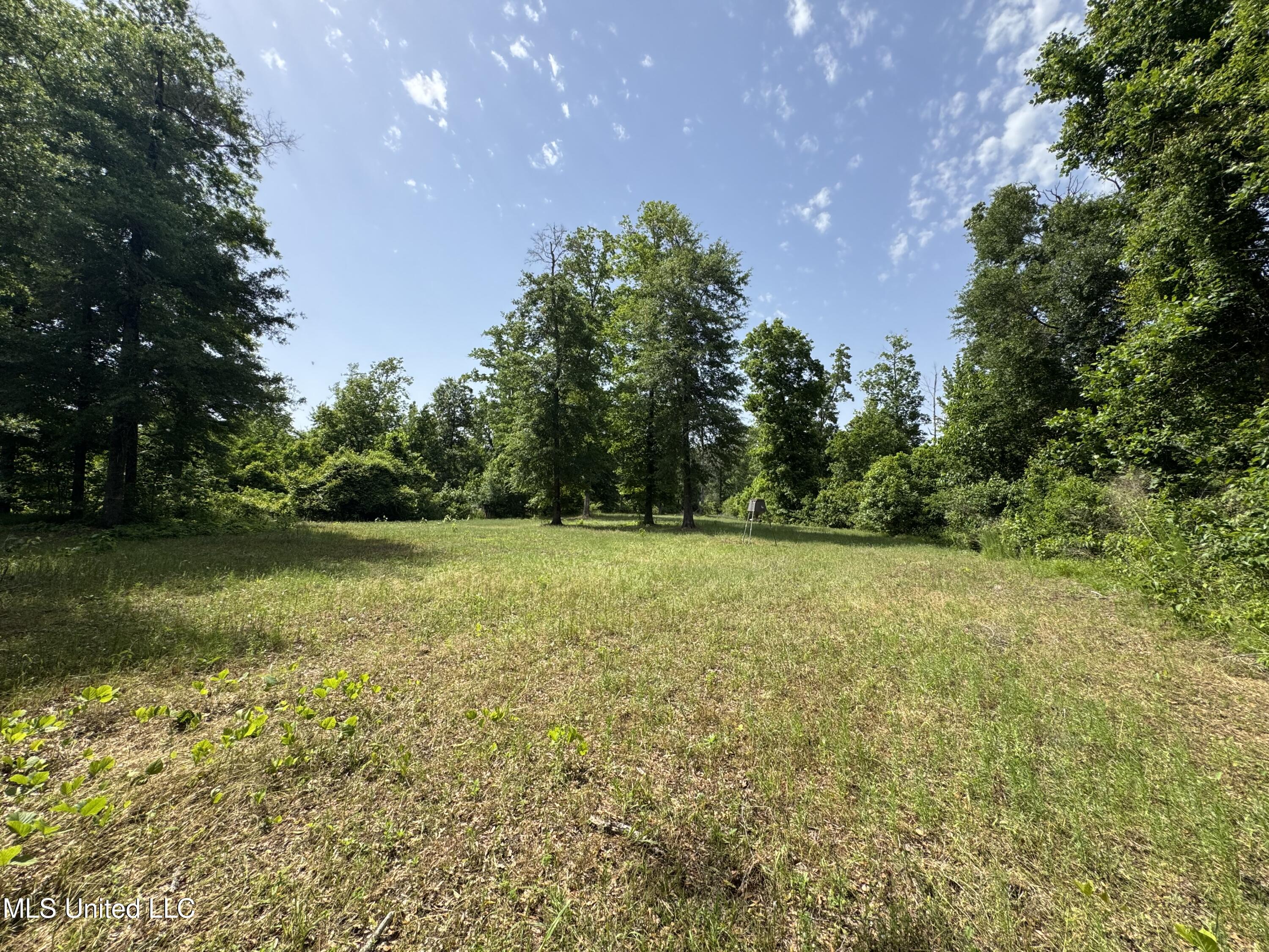 2550 Moncure Road Property Photo 13