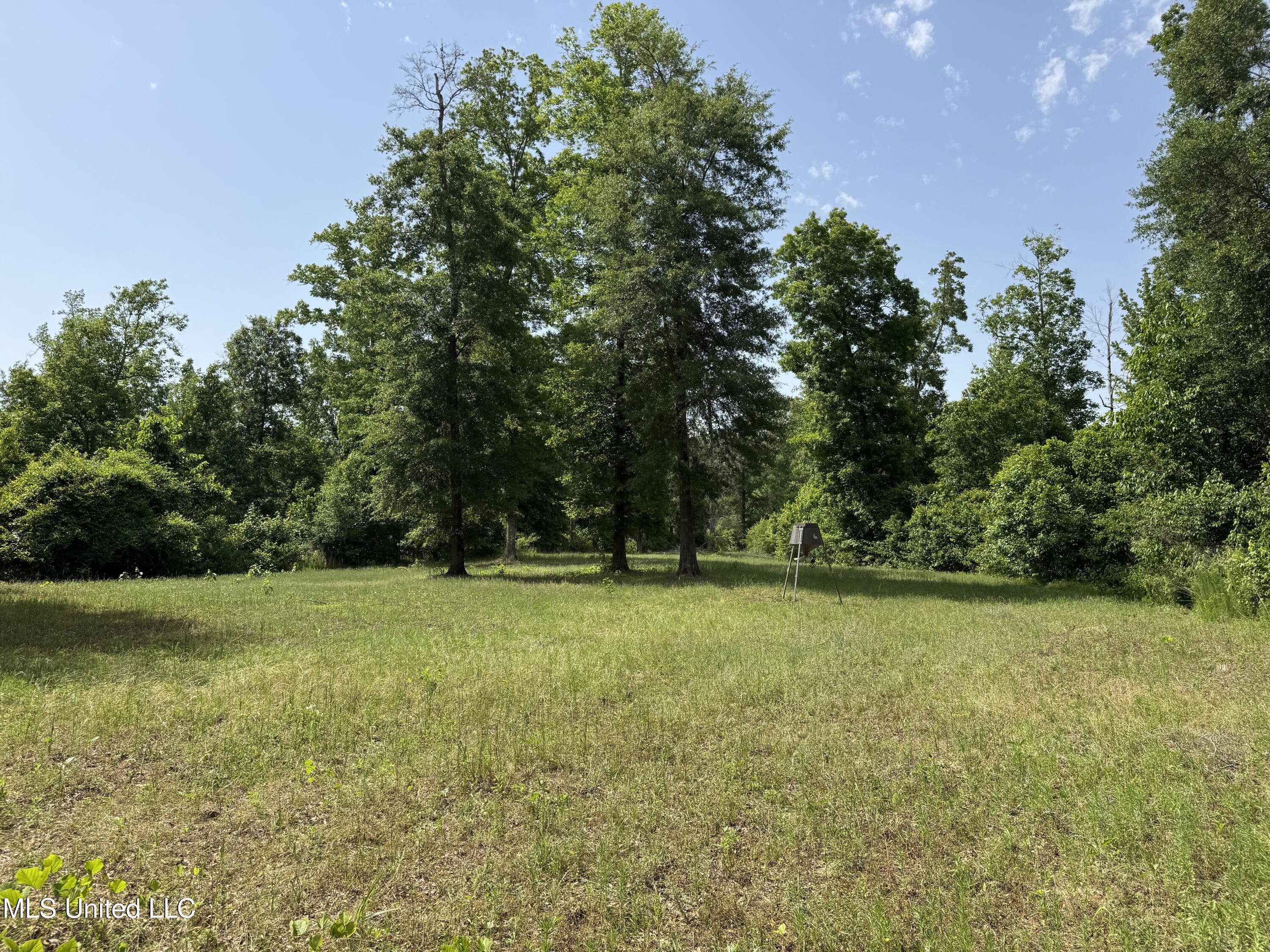 2550 Moncure Road Property Photo 14
