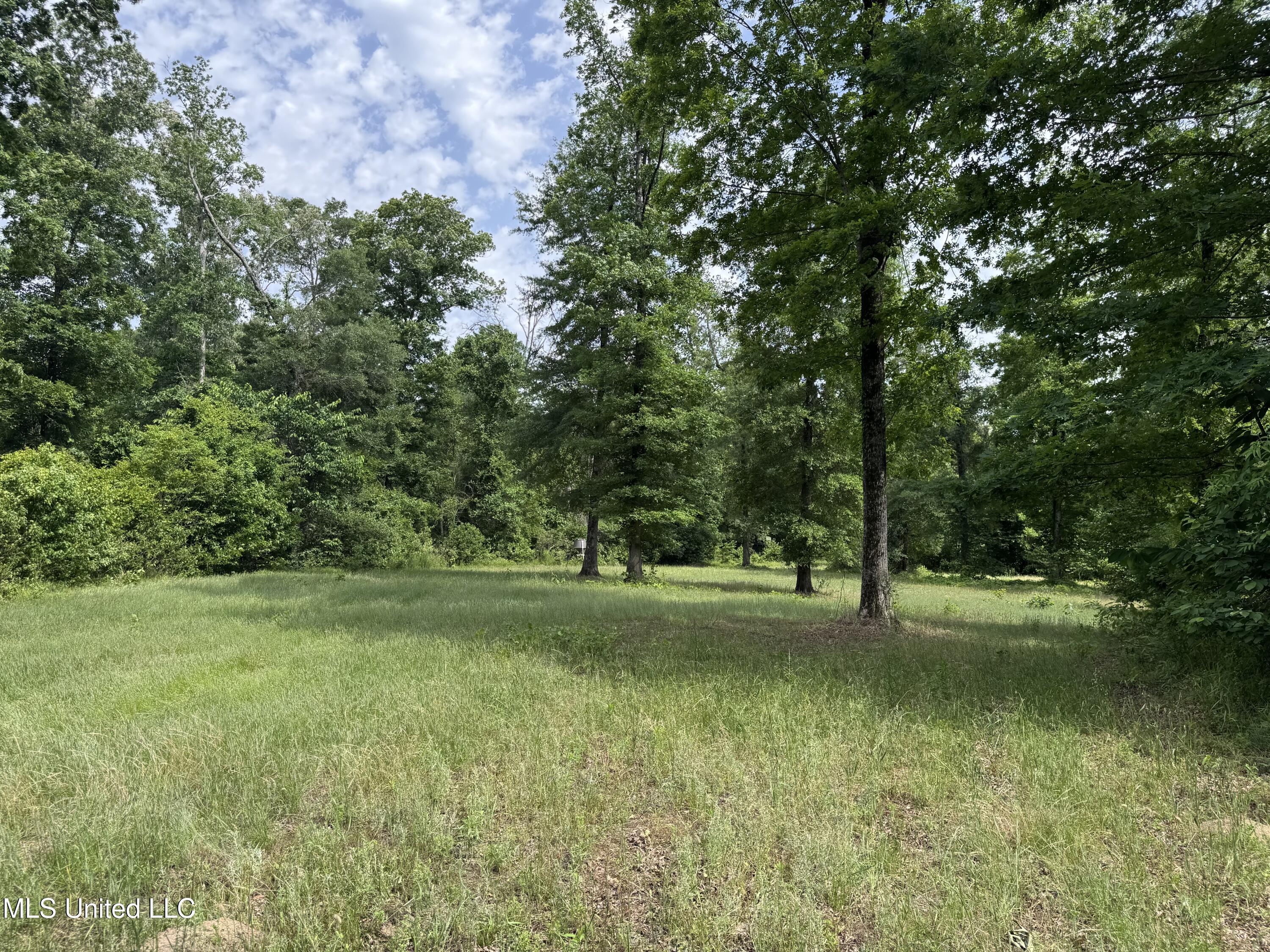 2550 Moncure Road Property Photo 15