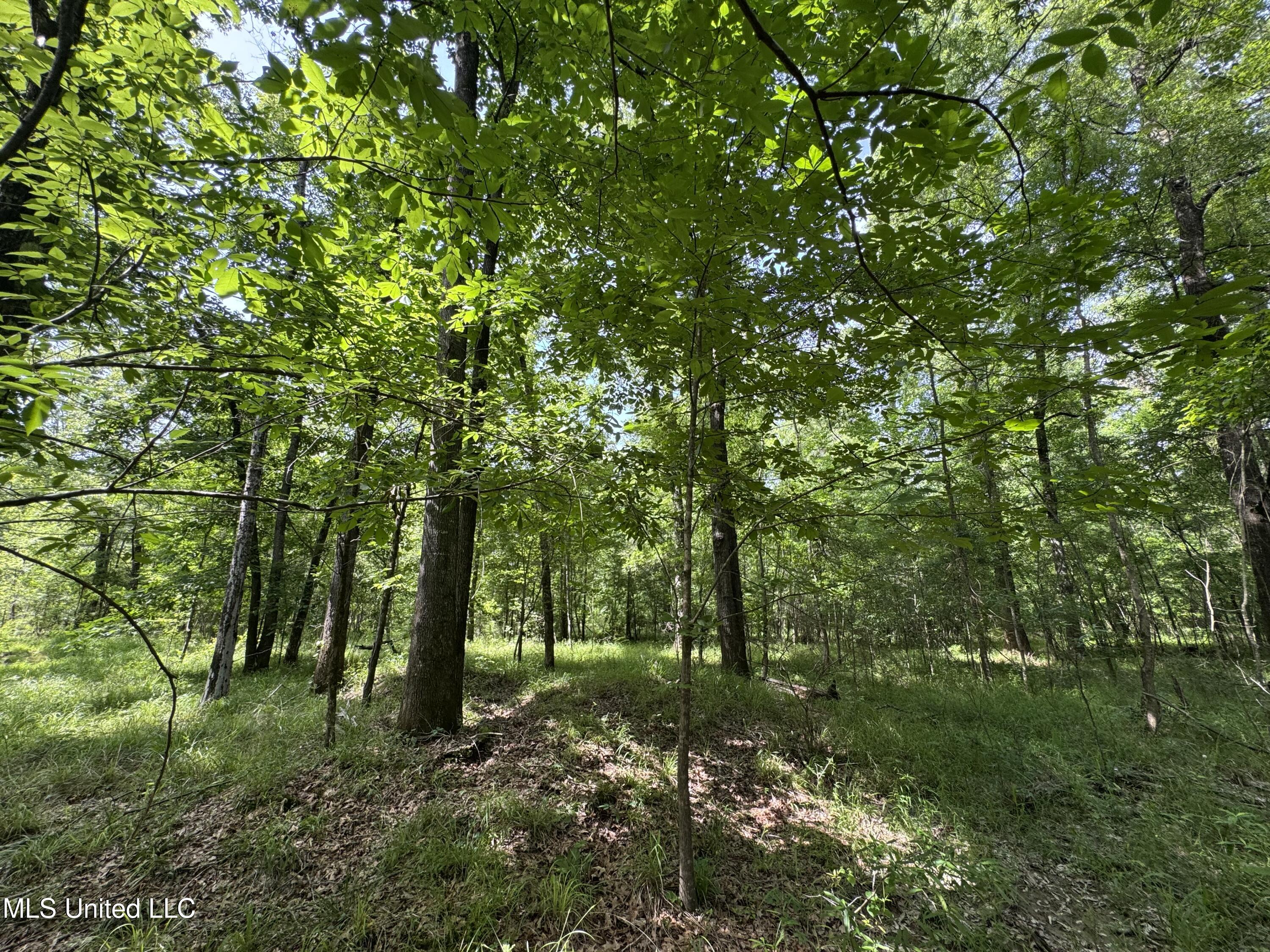 2550 Moncure Road Property Photo 16