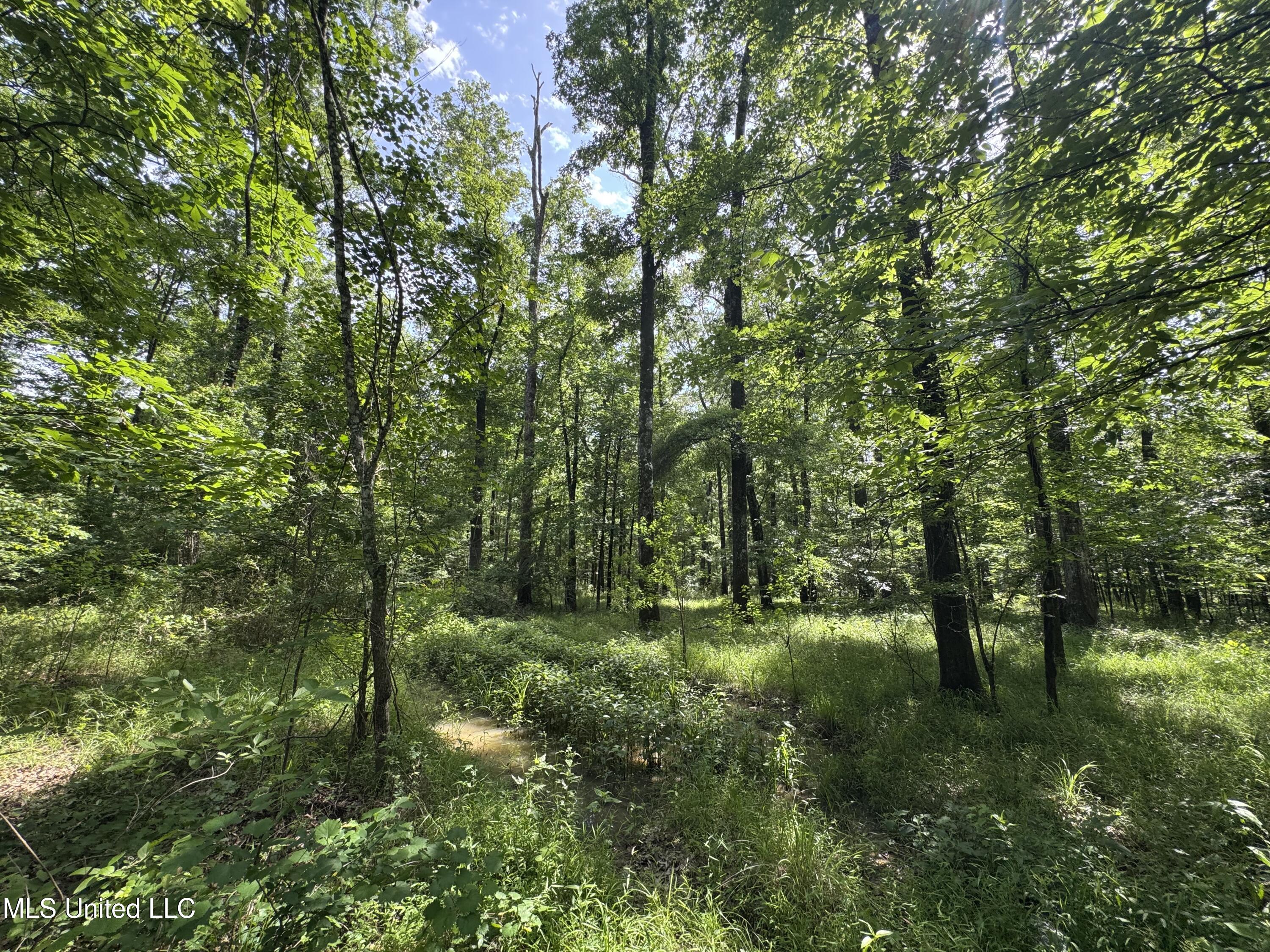 2550 Moncure Road Property Photo 17