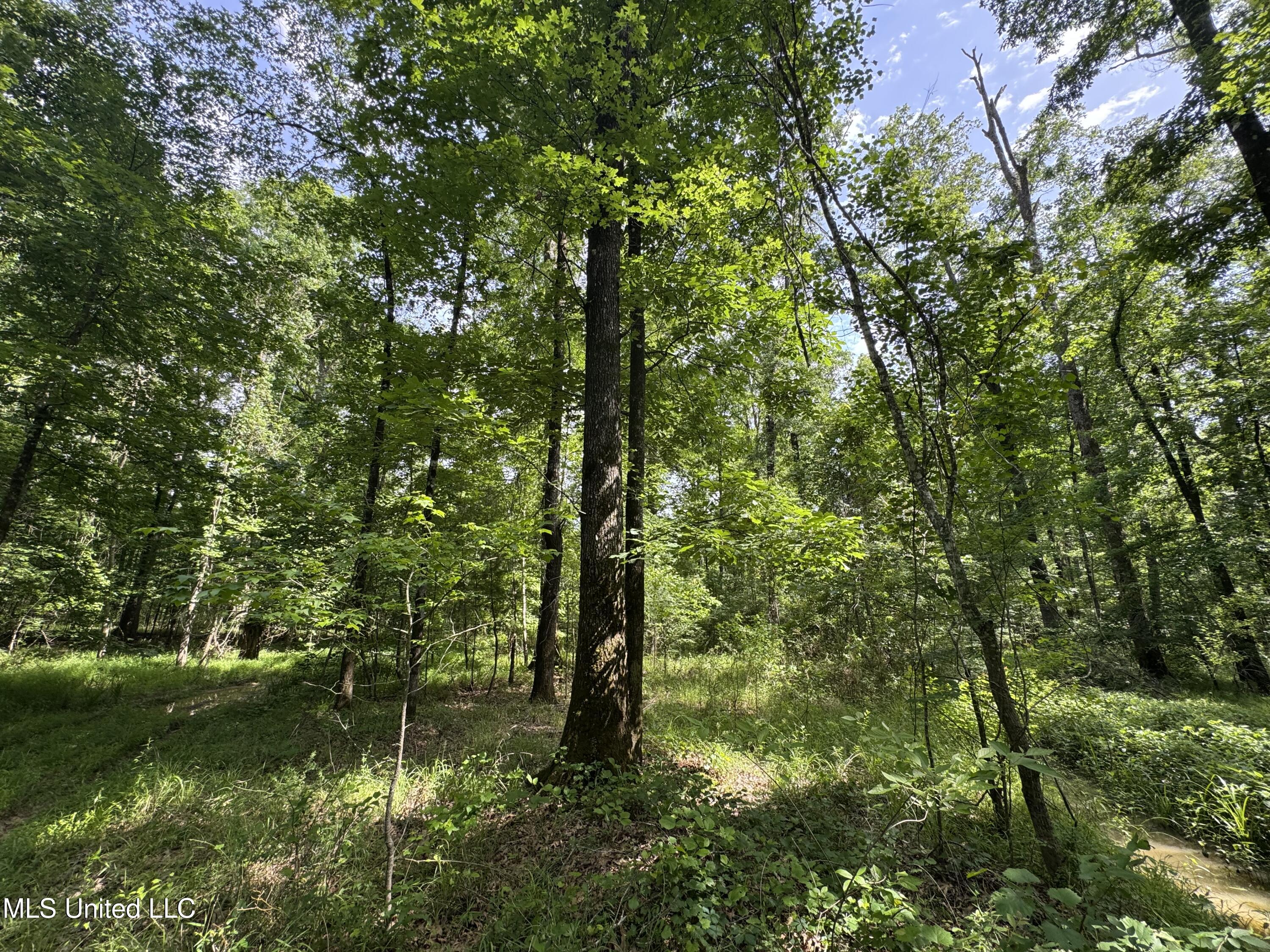 2550 Moncure Road Property Photo 18