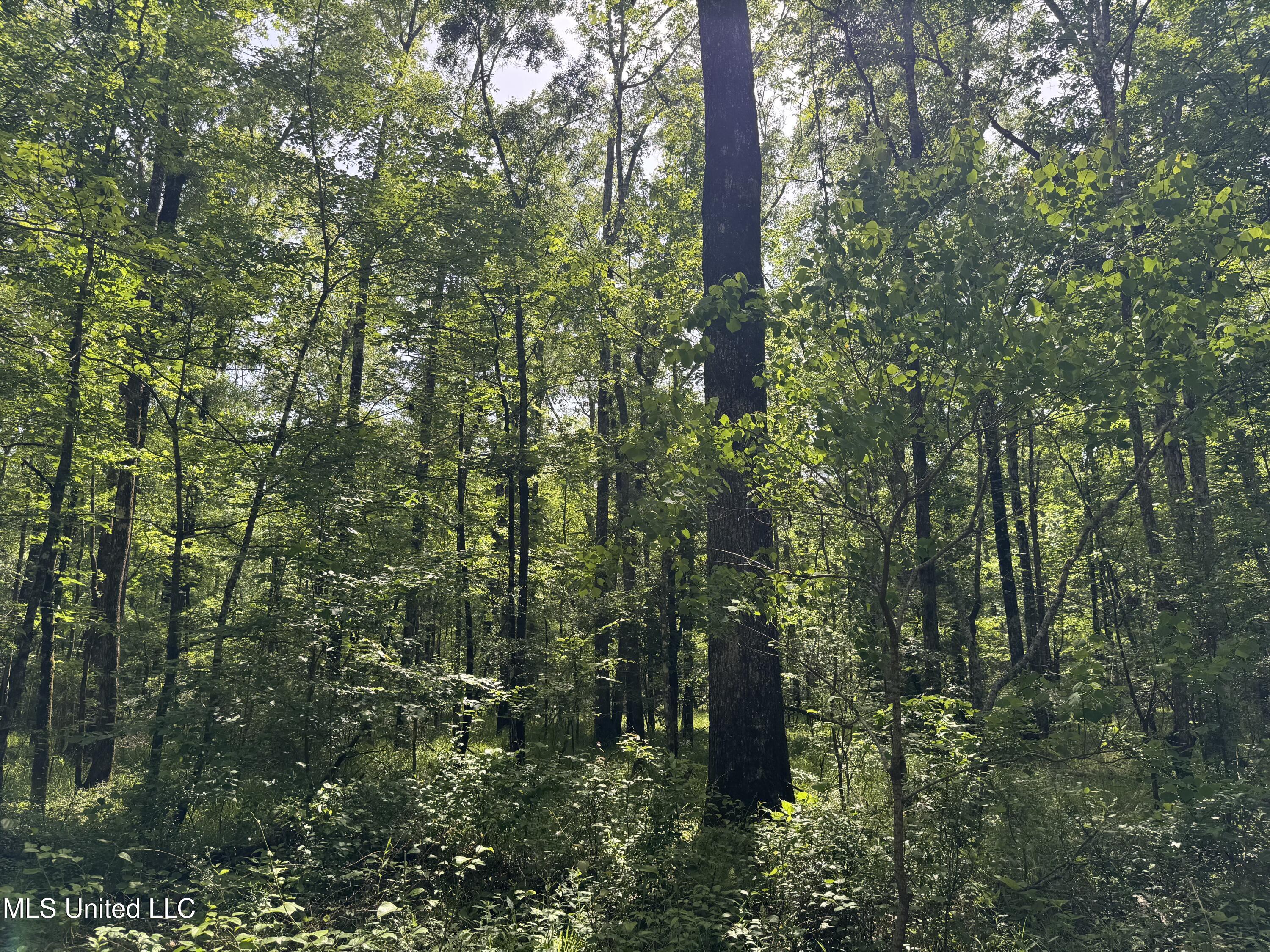 2550 Moncure Road Property Photo 19