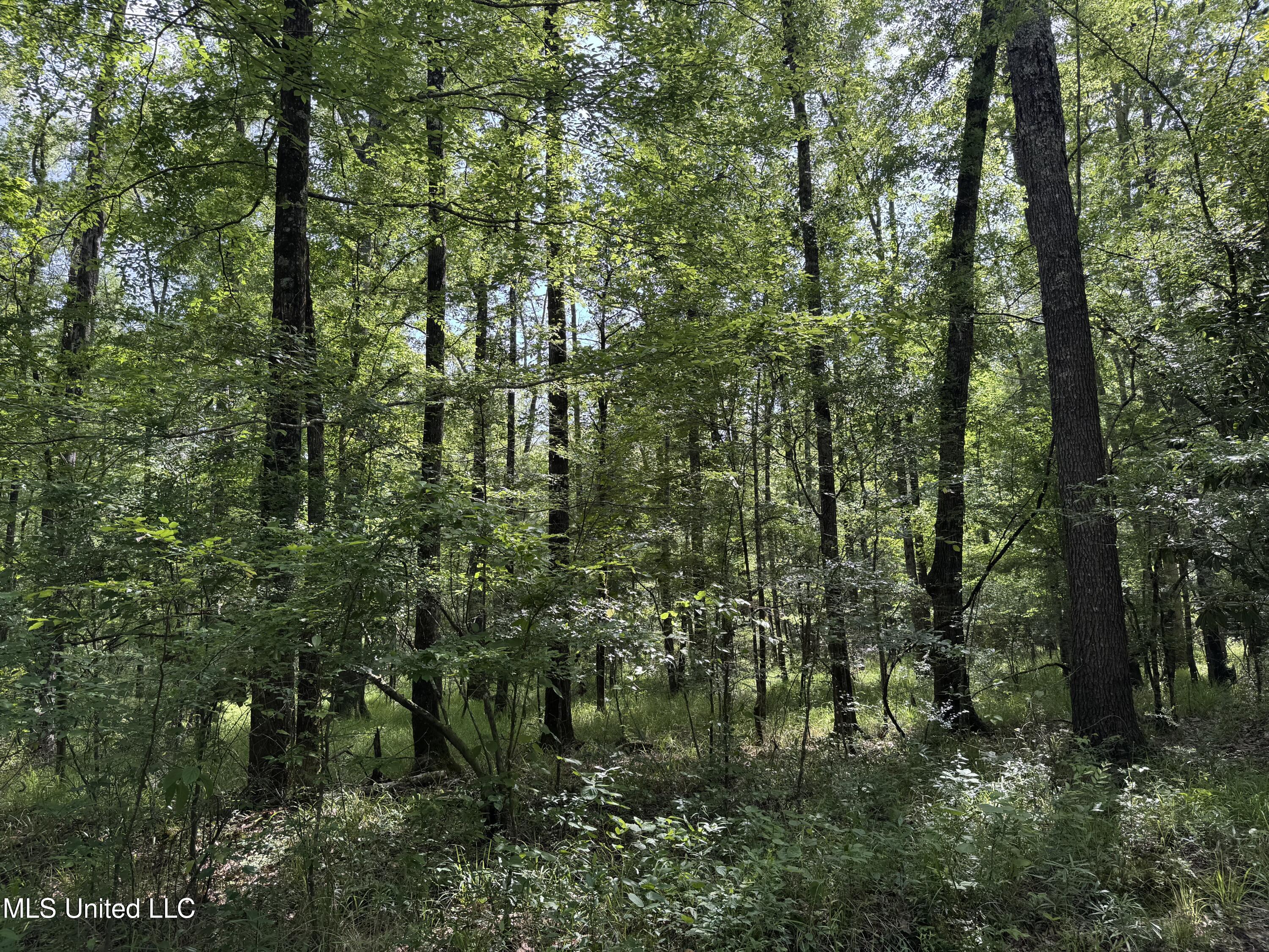 2550 Moncure Road Property Photo 20