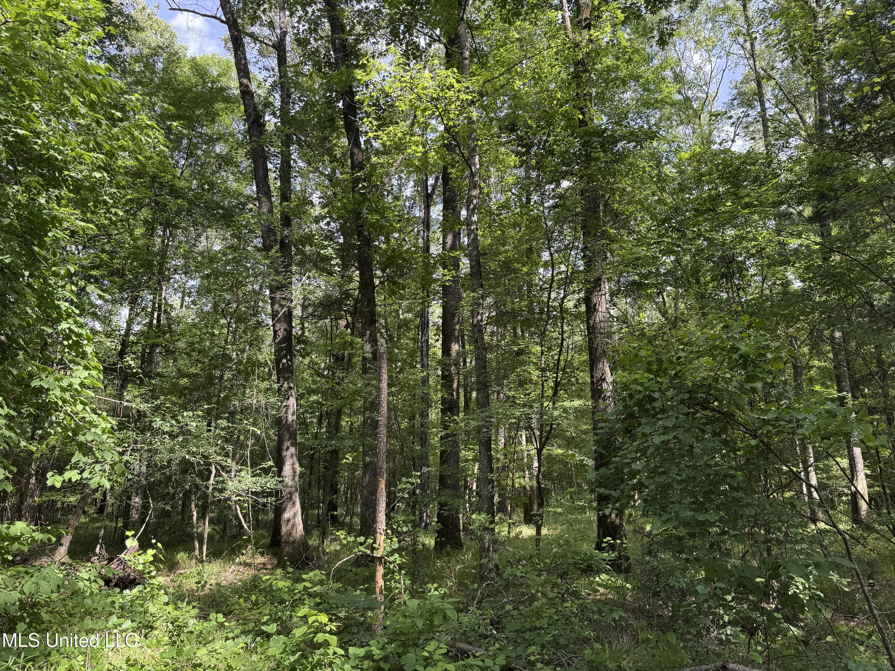 2550 Moncure Road Property Photo 21