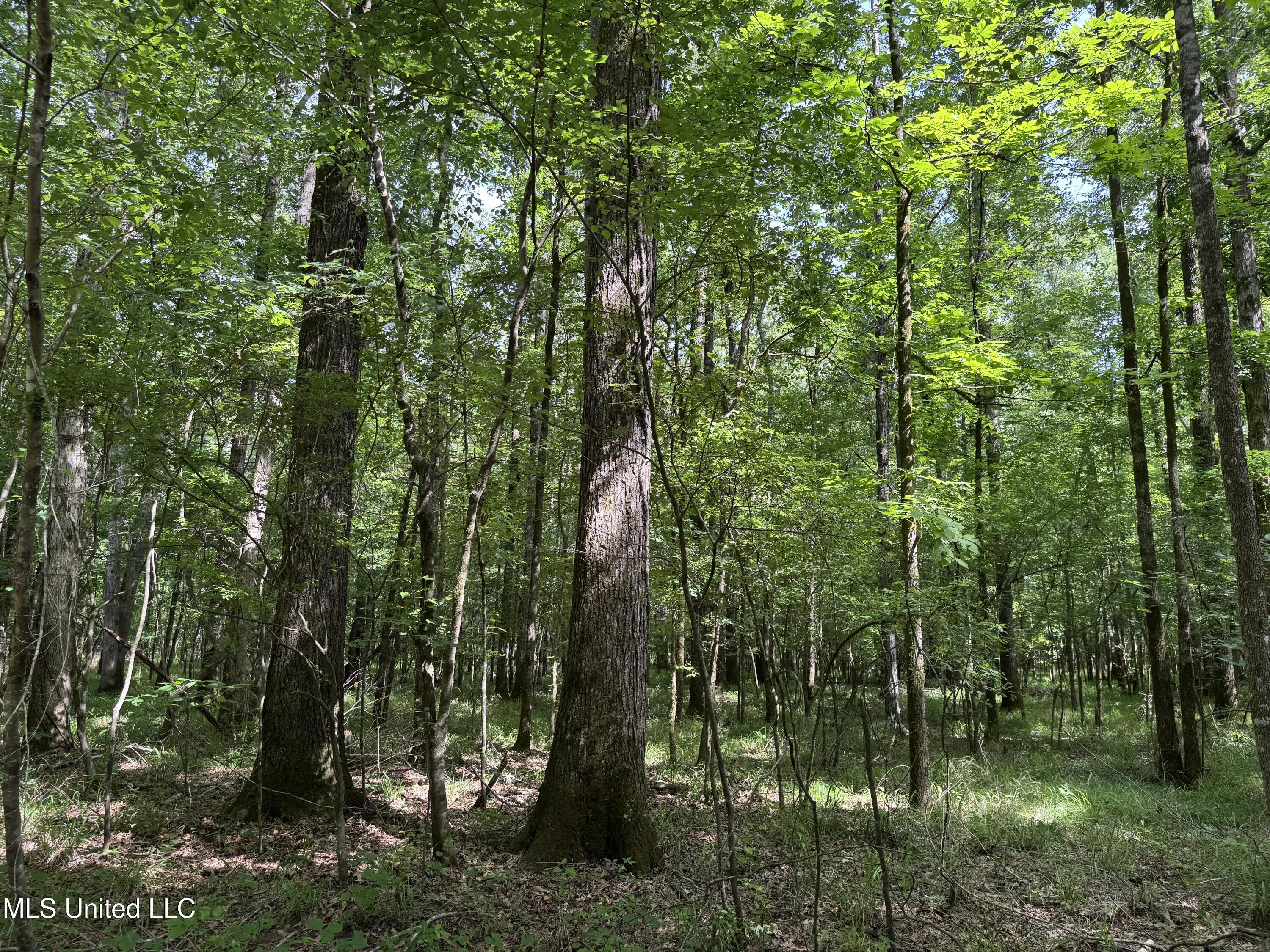 2550 Moncure Road Property Photo 23
