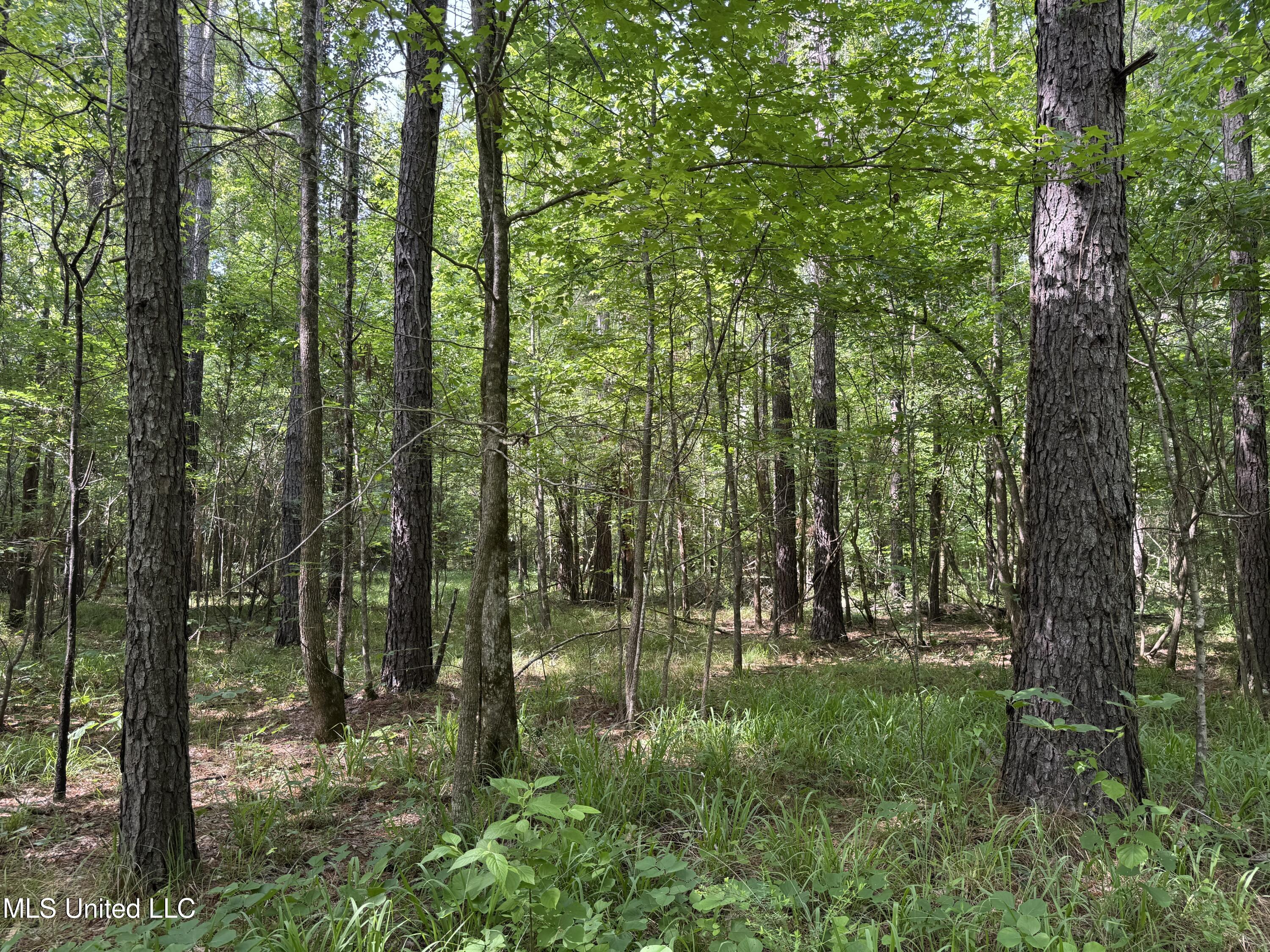 2550 Moncure Road Property Photo 25