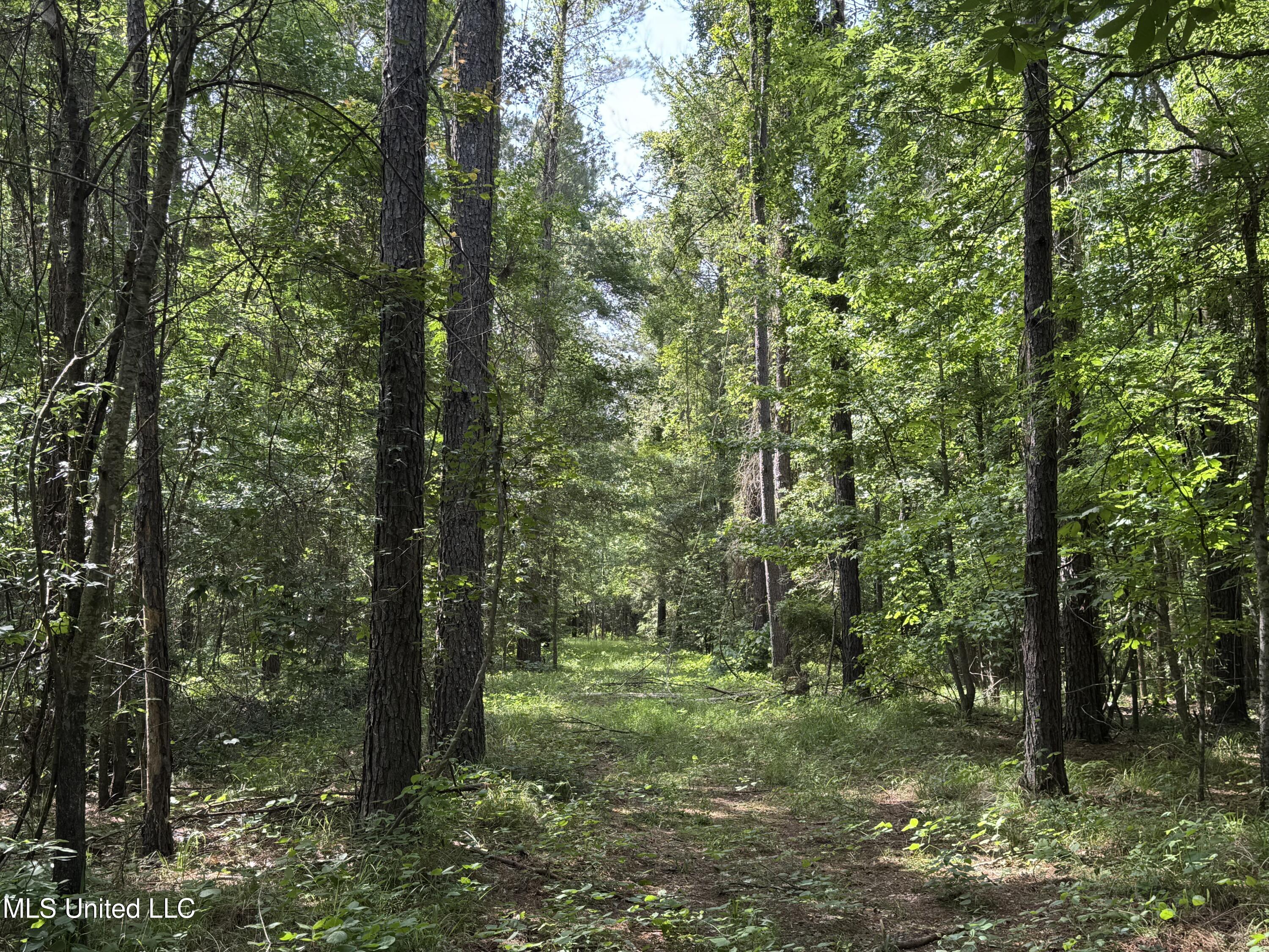 2550 Moncure Road Property Photo 26